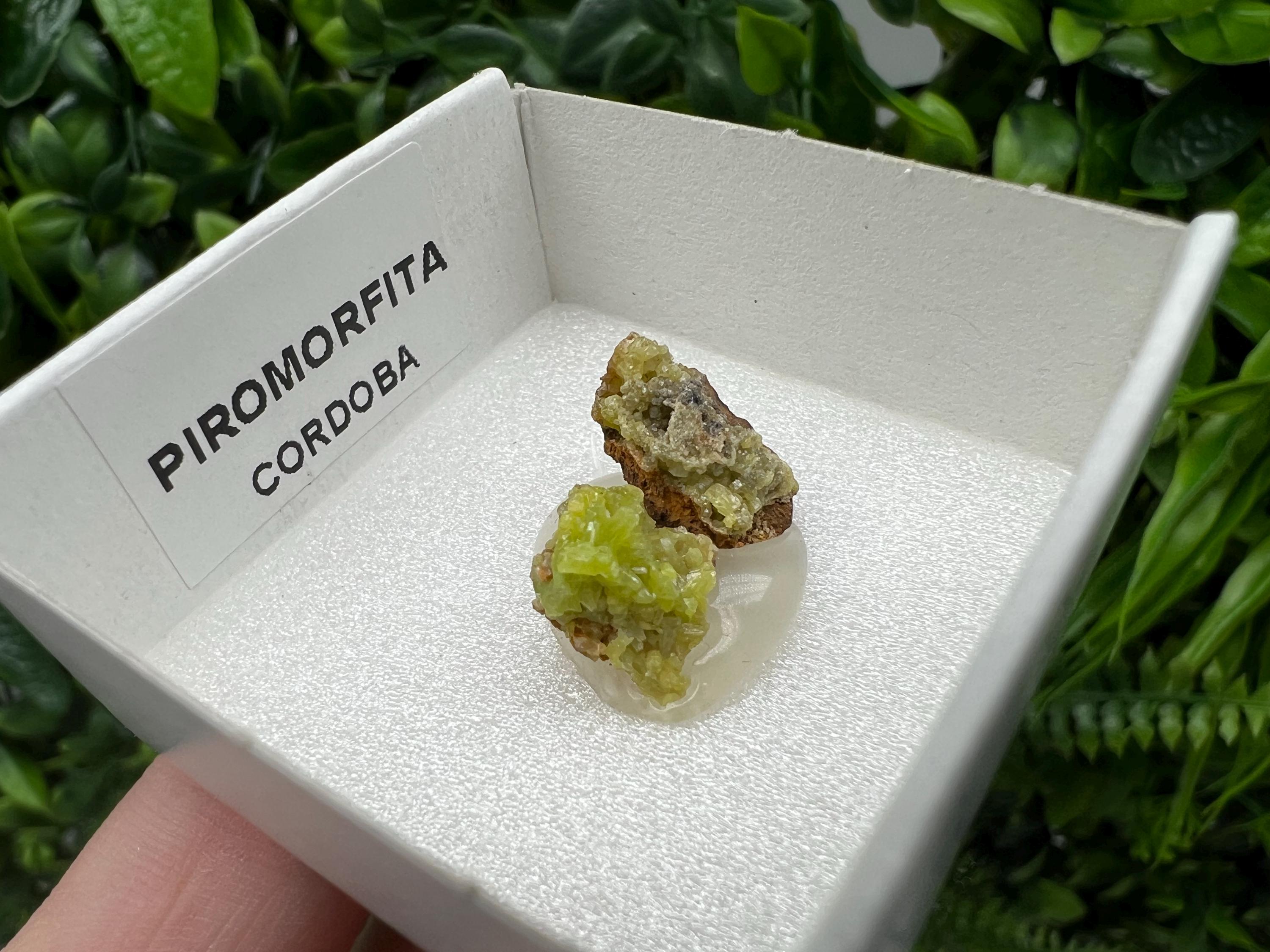 Pyromorphite Stone / Pyromorphite on Matrix / Pyromorphite Crystal / Raw Crystal / Pyromorphite Cluster / Rough Pyromorphite / Pyromorphite