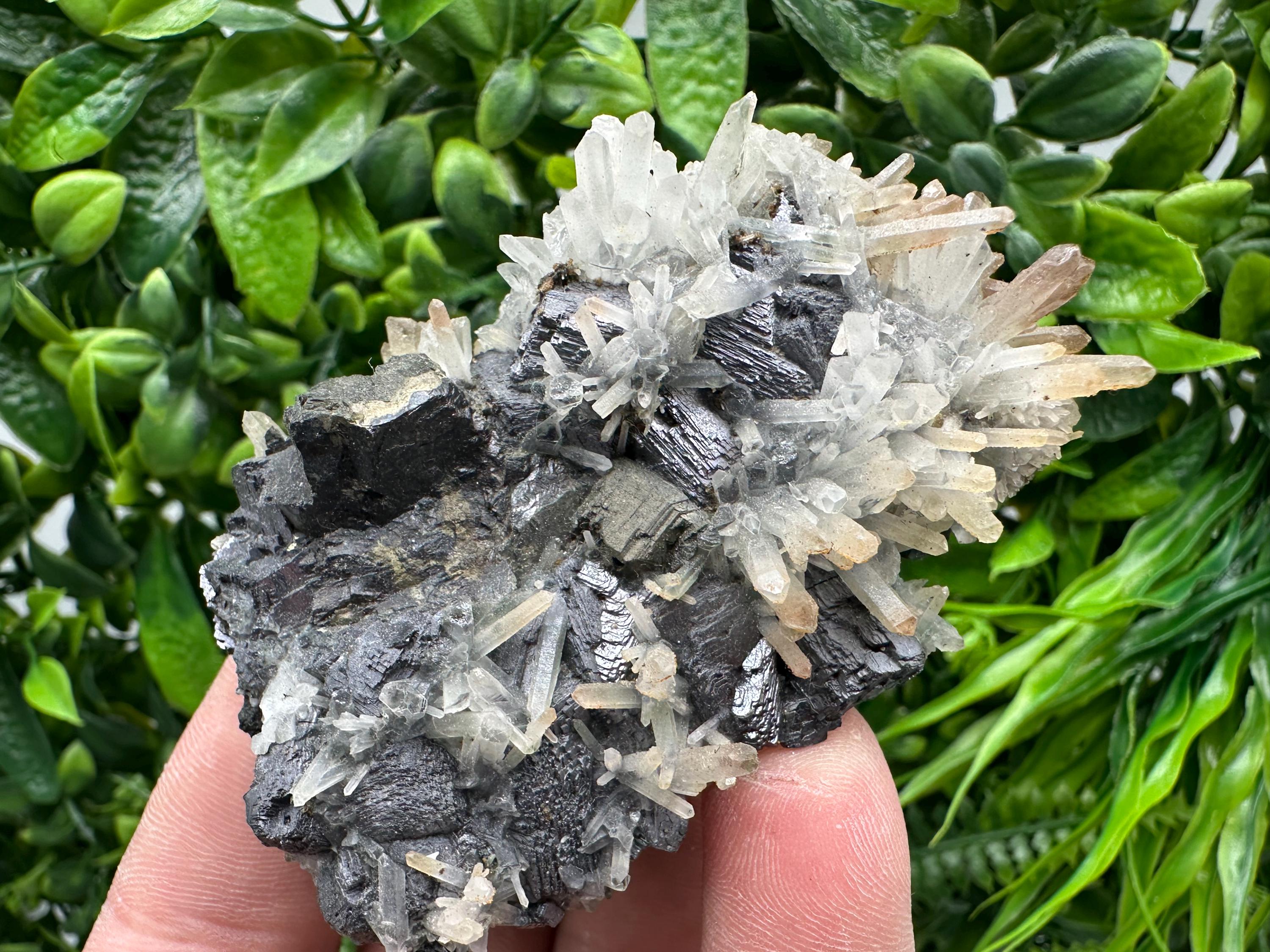 Galena, Sphalerite, Chalcopyrite, and Quartz Mineral Specimen, Djurcovo Mine