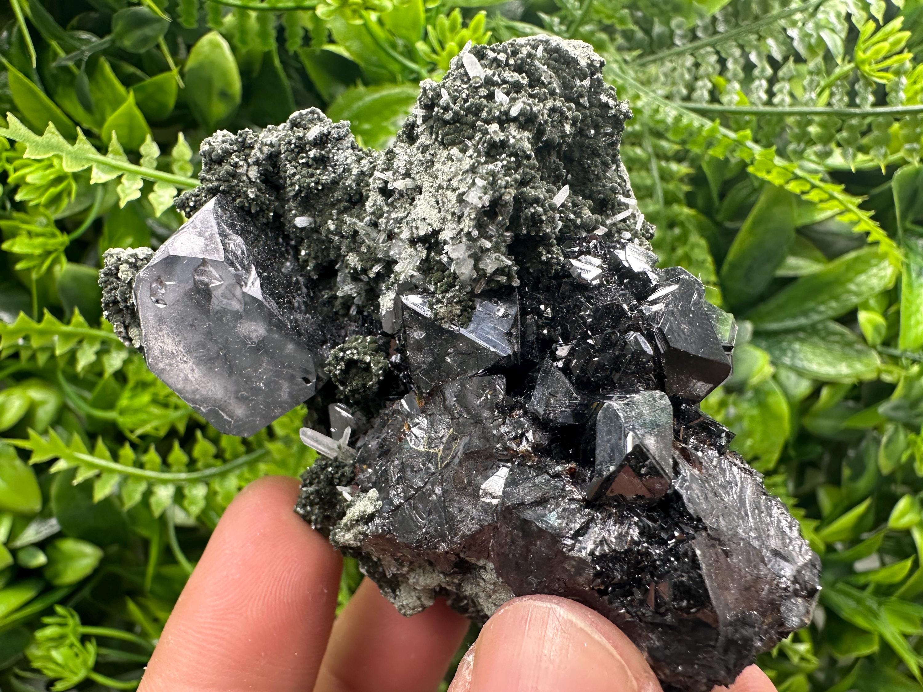 Galena with Black Sphalerite: Natural Minerals Souvenir, Borieva Bulgaria