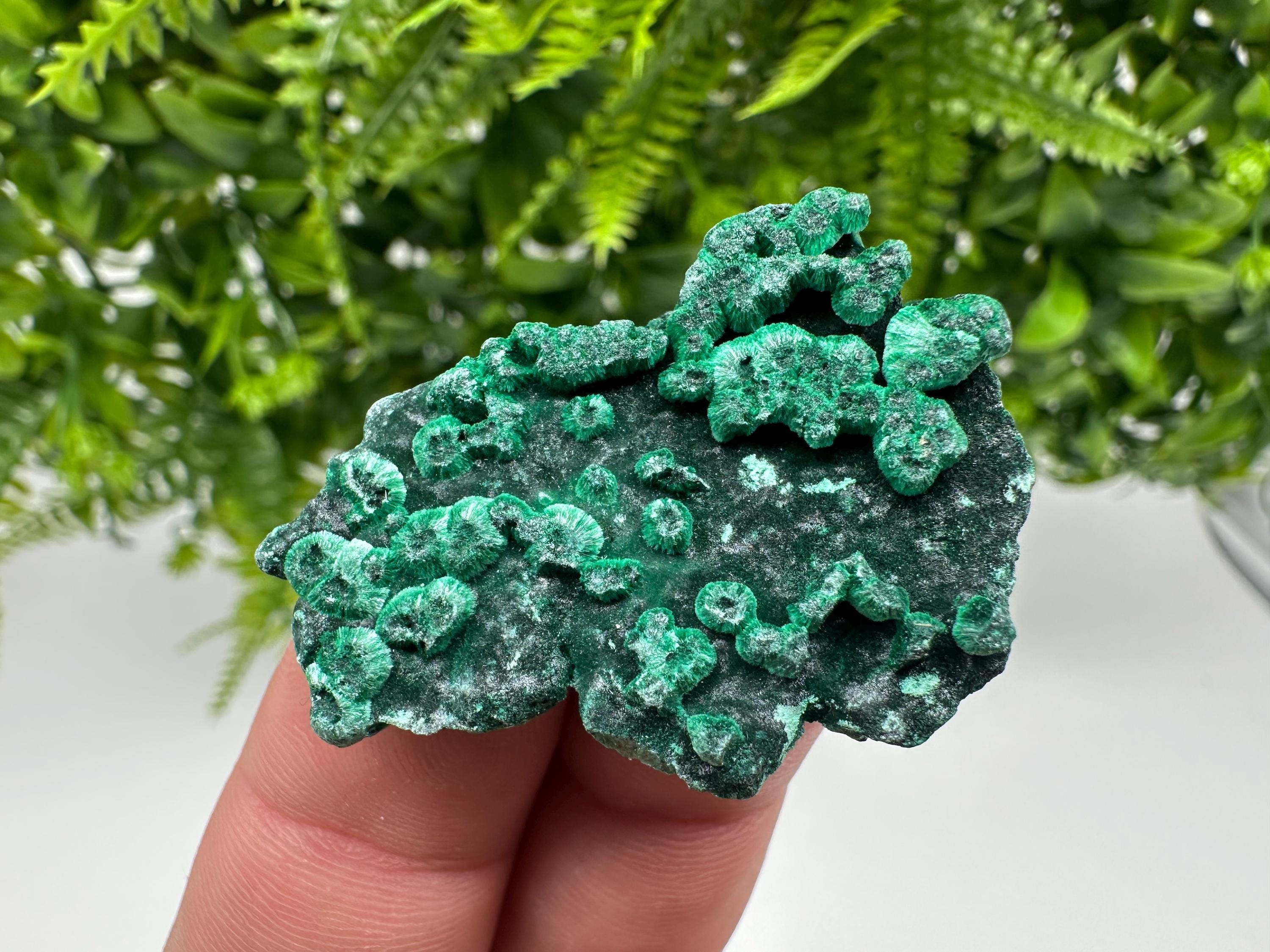 Green Malachite Crystal Specimen: Congo Minerals, Chakra Stone