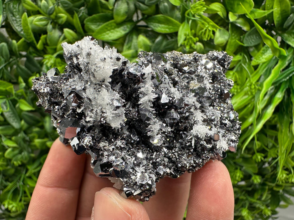 Galena Sphalerite Calcite Pyrite Quartz Mineral Specimen, Borieva Mine, Bulgaria Home Decor