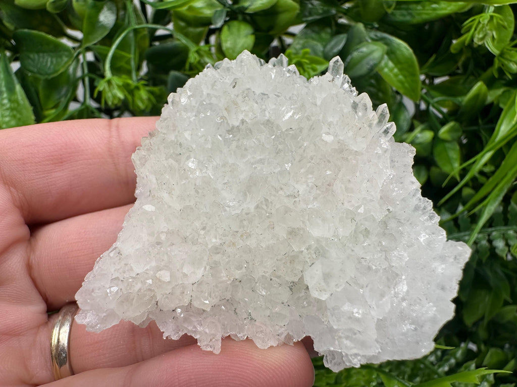 Transparent Quartz on Chlorite Matrix, Borieva Mine Mineral Specimen