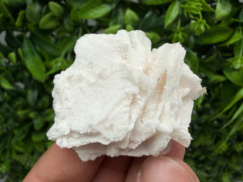 Mangano Calcite with Galena, Borieva Mine, Bulgaria