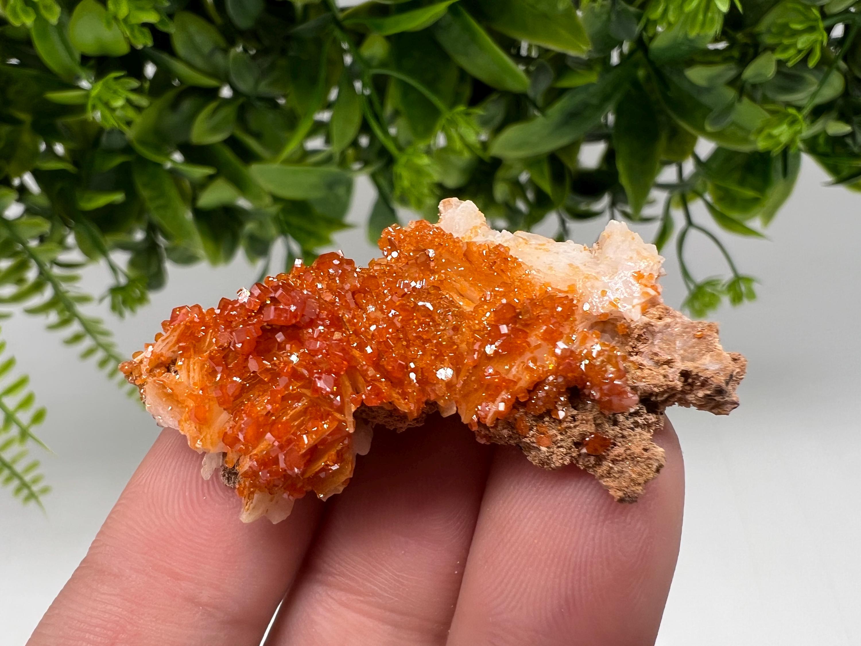 Red Vanadinite on Barite from Marocco,crystal minerals Speciment cluster Vanadinite crystal Vanadinite Geology Vanadinite cluster minerals