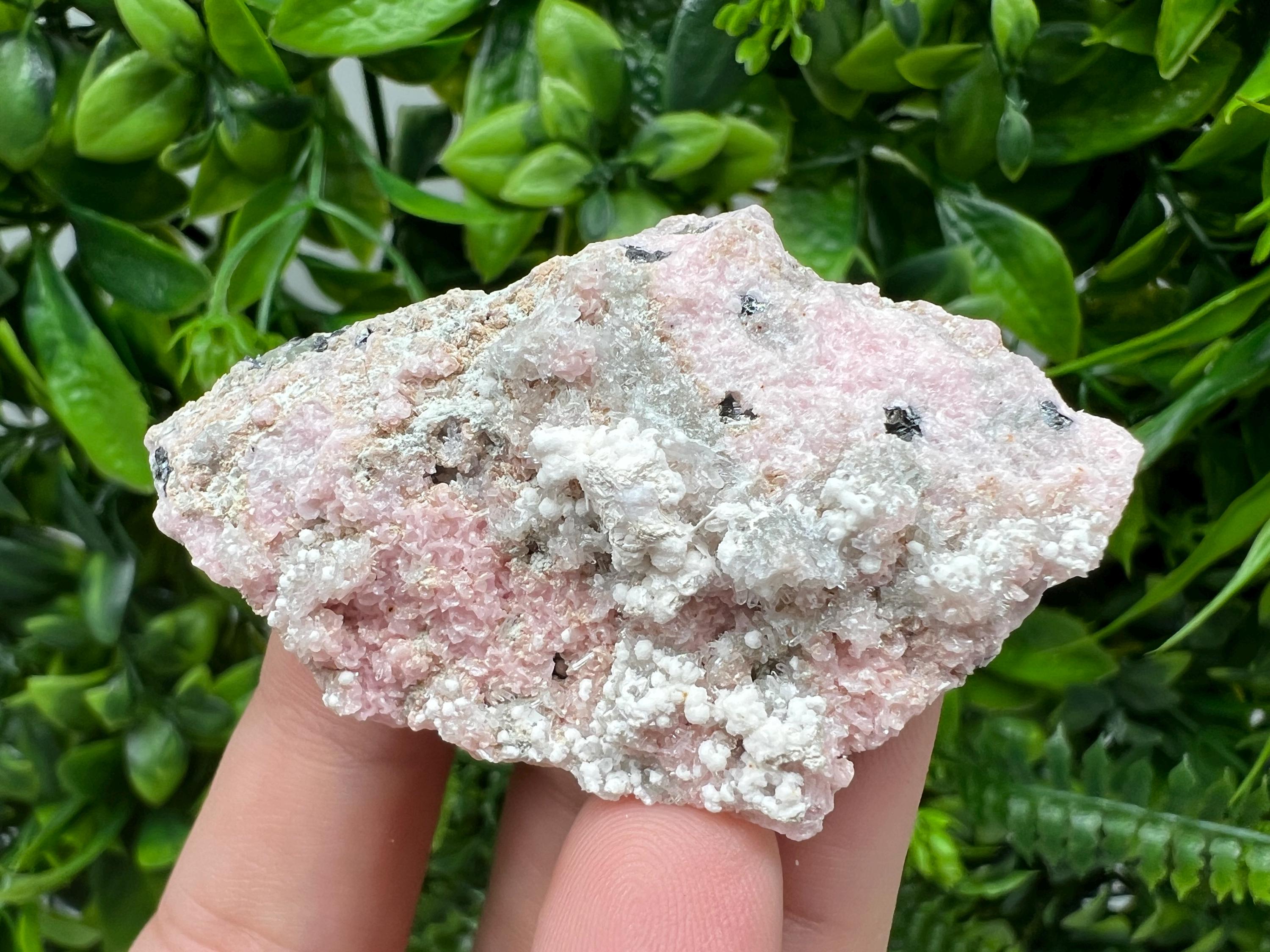 RARE Rhodochrosite with Calcite, Starnica Mine, Bulgaria