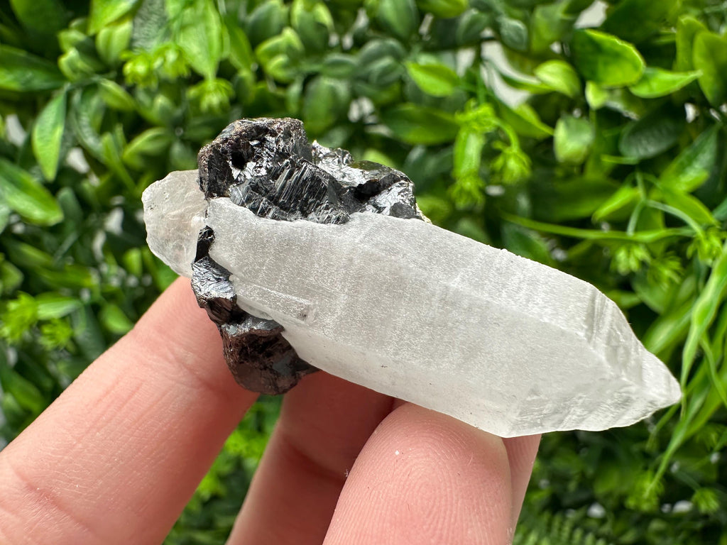 Wonderful Sphalerite Chalcopyrite on  Quartz whit Galena feom 9 th September mine,Bulgaria,natural,collection mineral specimen,gift