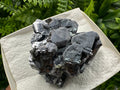 Shiny Galena Cluster: Borieva Mine, Madan Bulgaria