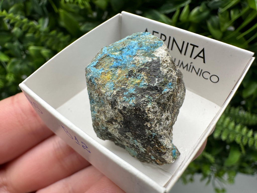 Rare Raw Aerinite Mineral Specimen: Lleida, Spain Crystal