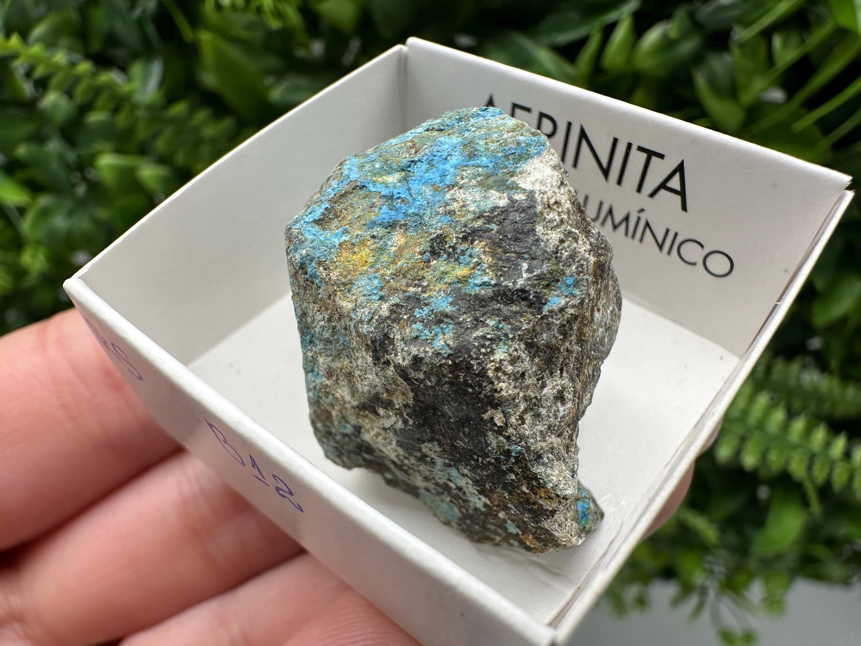Rare Raw Aerinite Mineral Specimen: Lleida, Spain Crystal