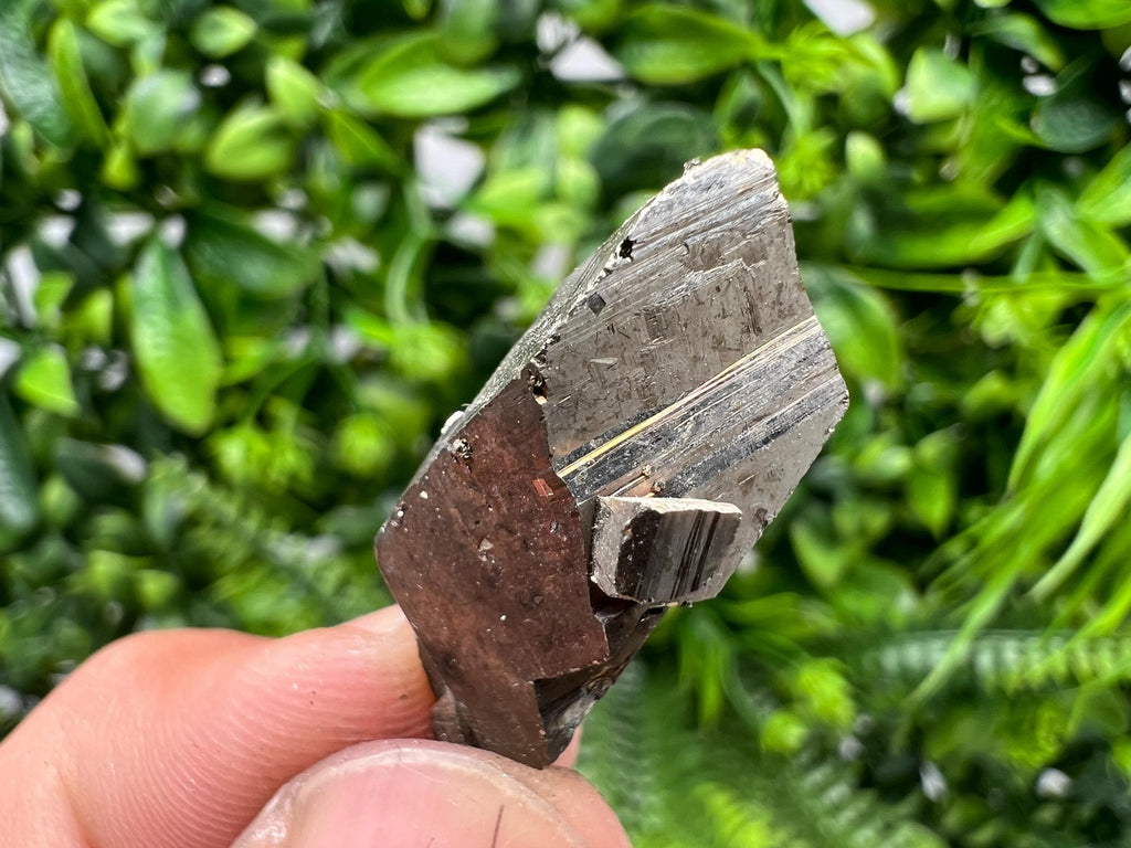 Rare Pyrite Crystal Specimen: Borieva Mine, Bulgaria