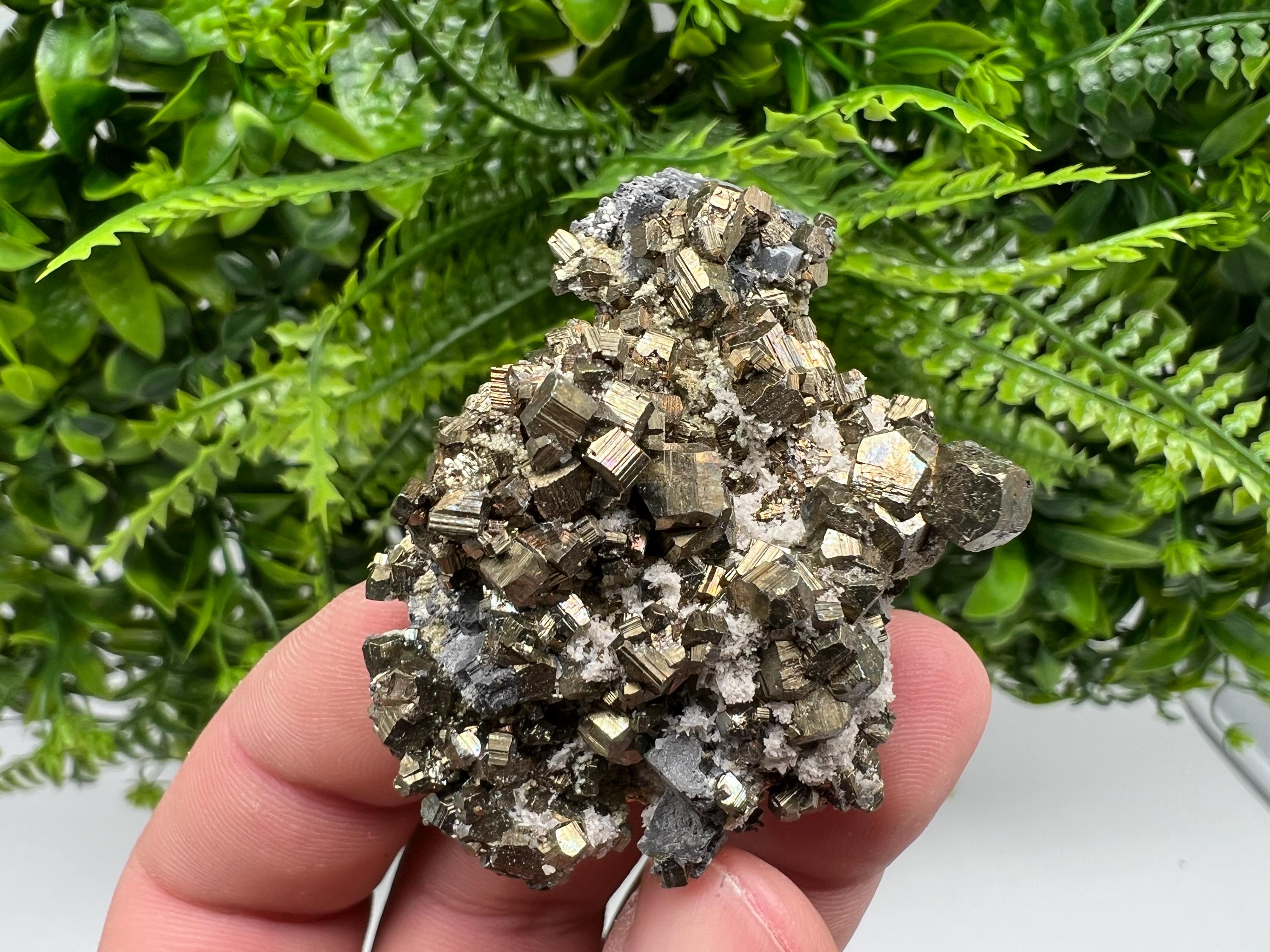 Rare Pyrite Cluster: Golden Rainbow Crystallization, Borieva Mine