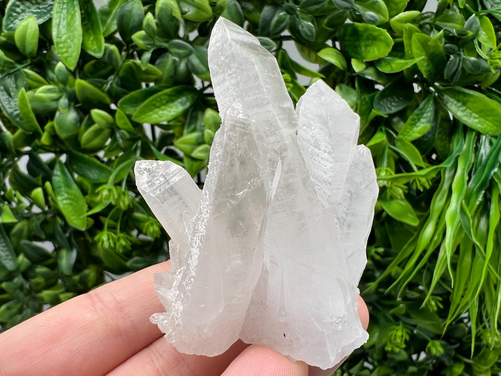 Wonderful Transparent Quartz whit Pyrite,from Krushev dol mine,Bulgaria,natural minerals,collection crystal,home decor stone,gift,quartz cls