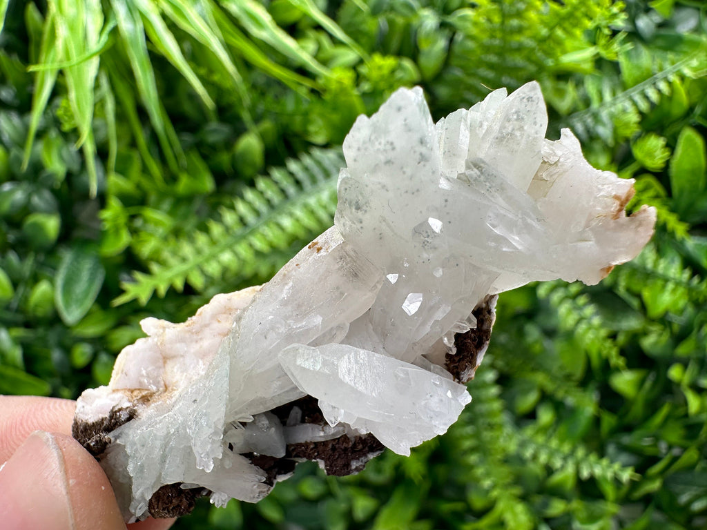 Quartz with Chlorite, Rhodochrosite, and Siderite Mineral Specimen