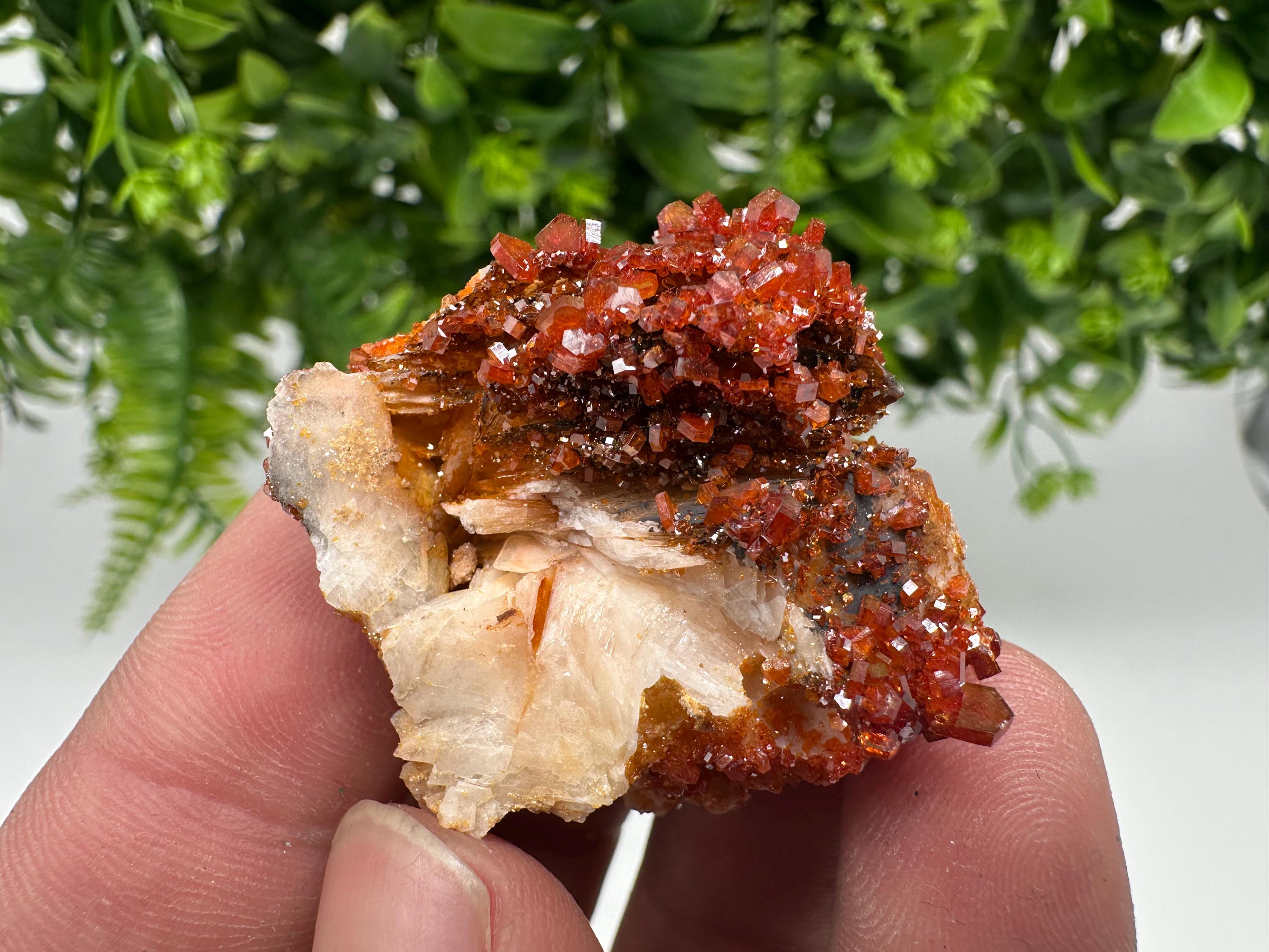 Red Vanadinite on Barite from Marocco,crystal minerals Speciment cluster Vanadinite crystal Vanadinite Geology Vanadinite cluster minerals