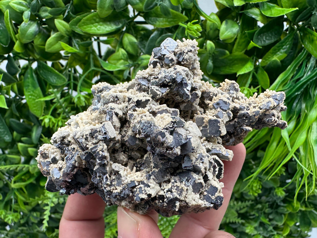 Galena Dolomite Cluster, Krushev dol Bulgaria Mineral Specimen