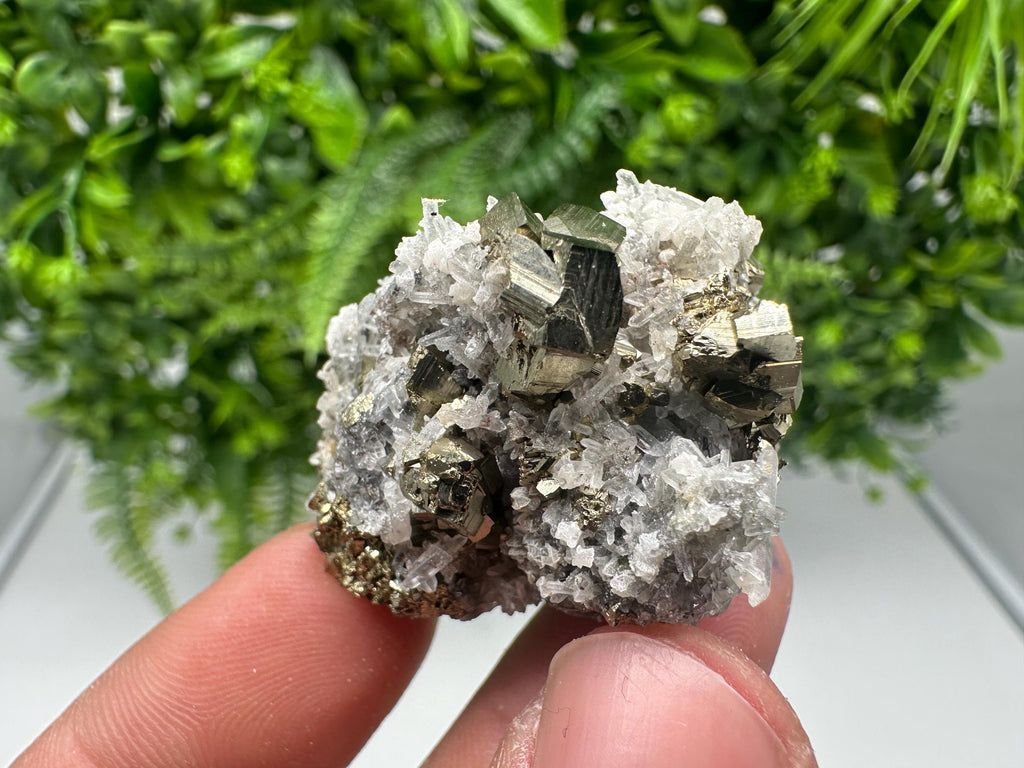 Pyrite on Green Quartz Mineral Specimen, Borieva Mine Bulgaria