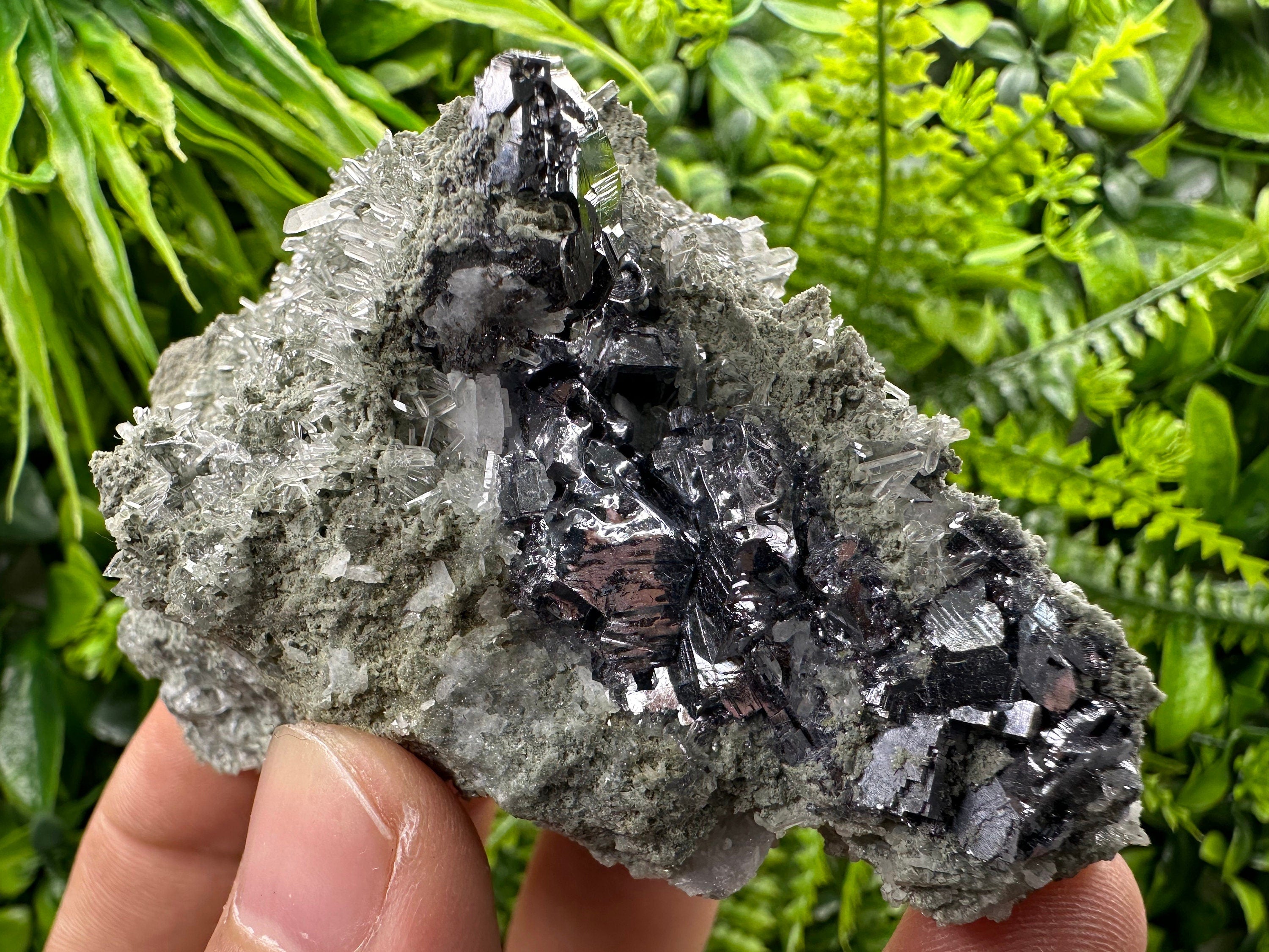 Galena Sphalerite on Quartz, Borieva Mine Mineral Specimen