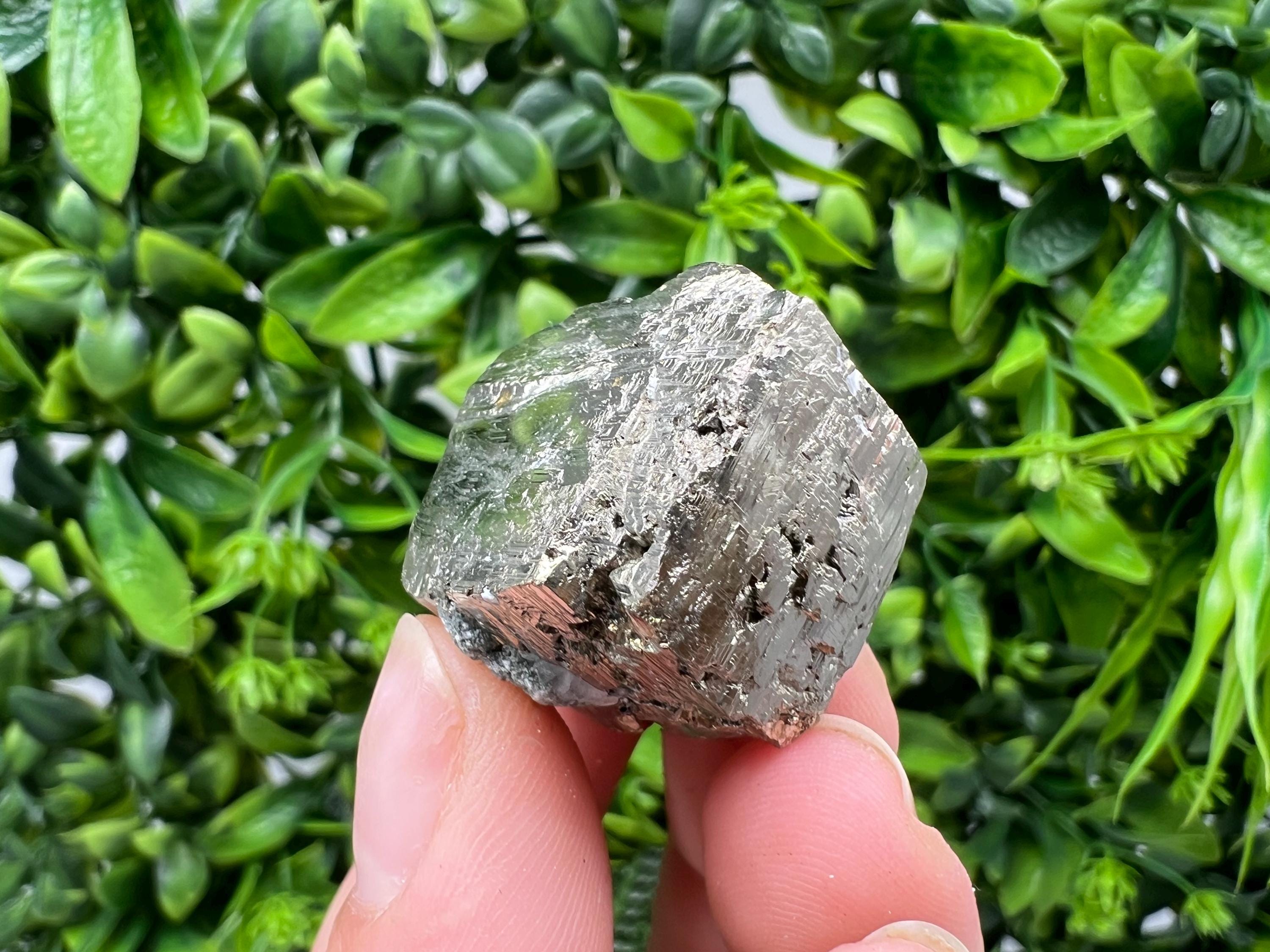Rare Crystallized Pyrite Cluster, Borieva Mine, Bulgaria