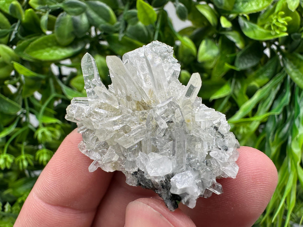 Transparent Quartz on Chlorite Matrix, Borieva Mine Mineral Specimen