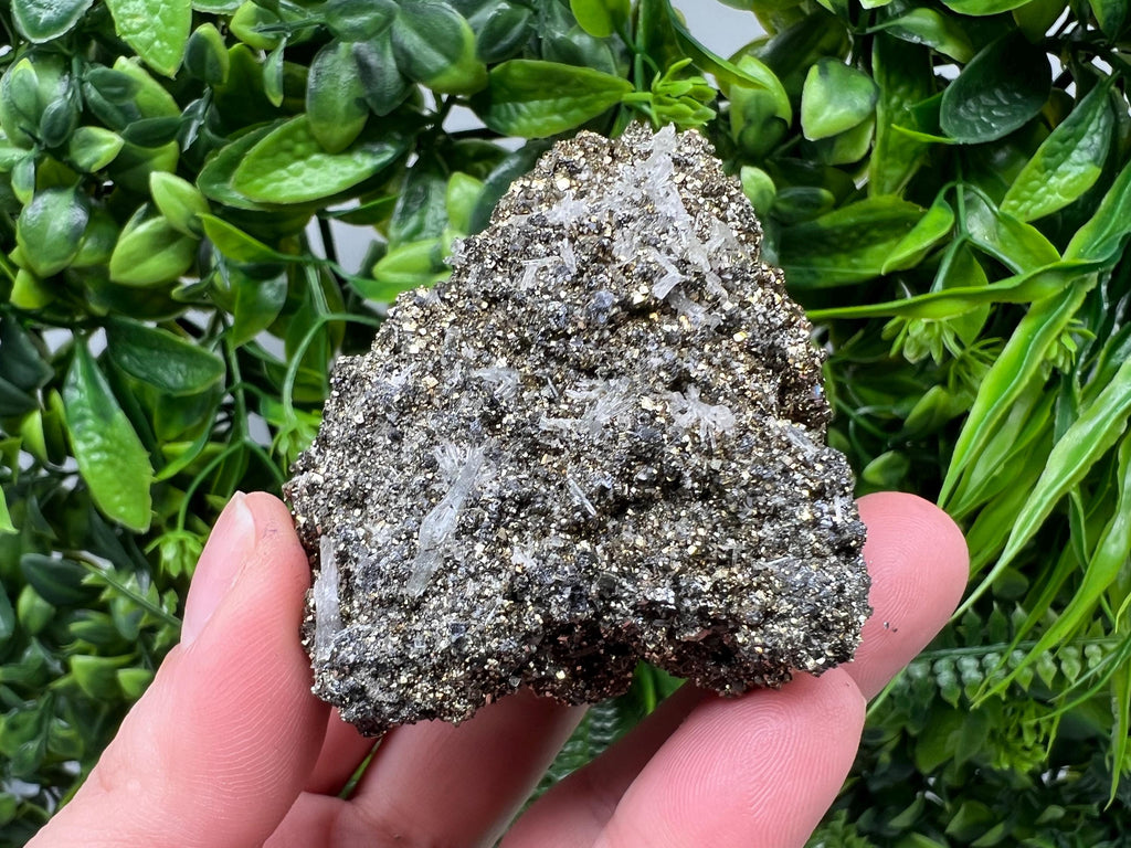 Pyrite on Green Quartz Mineral Specimen, Borieva Mine, Bulgaria