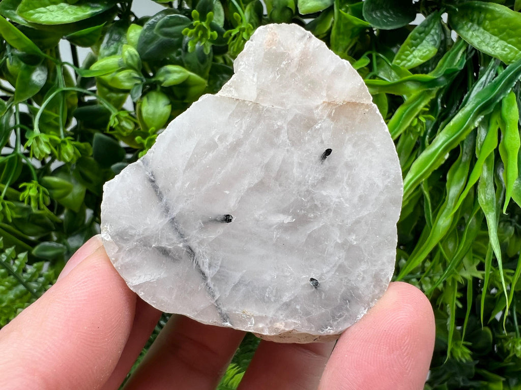 Quartz with Black Tourmaline Polished Slab: Crystal Slice