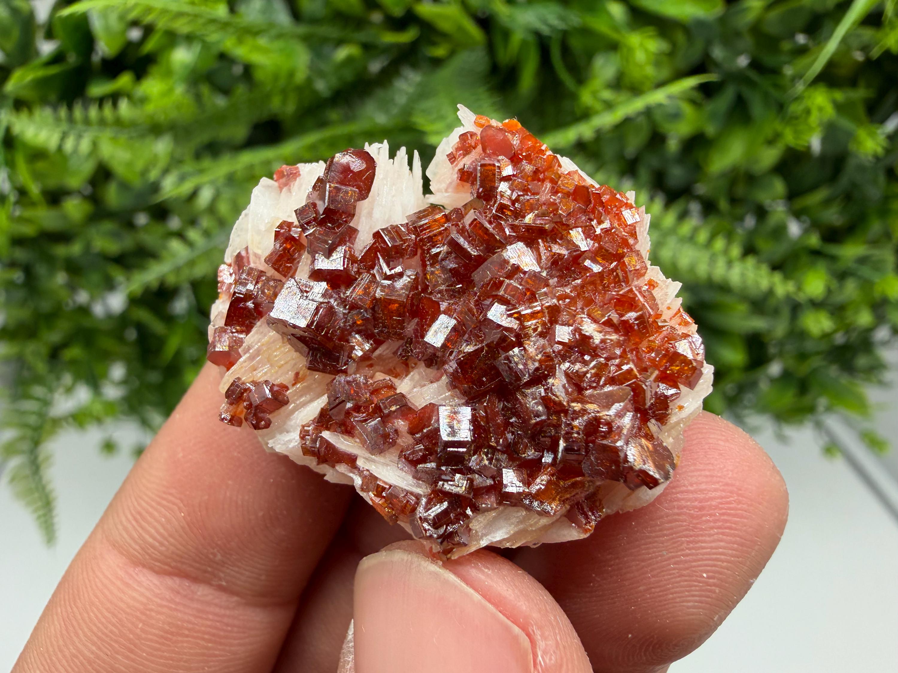 Red Vanadinite Crystal Cluster on Barite Matrix, Moroccan Mineral Specimen