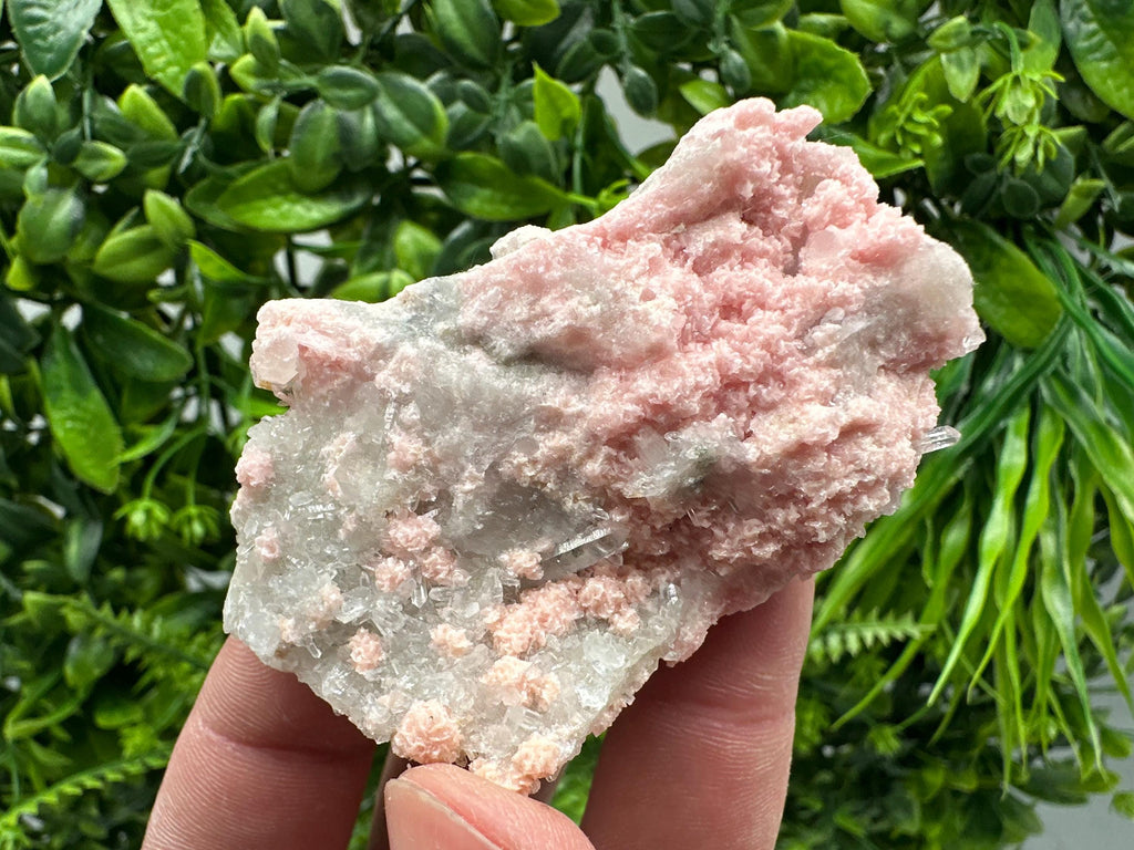 Rhodochrosite on Quartz, Starnica Mine, Bulgaria Crystal