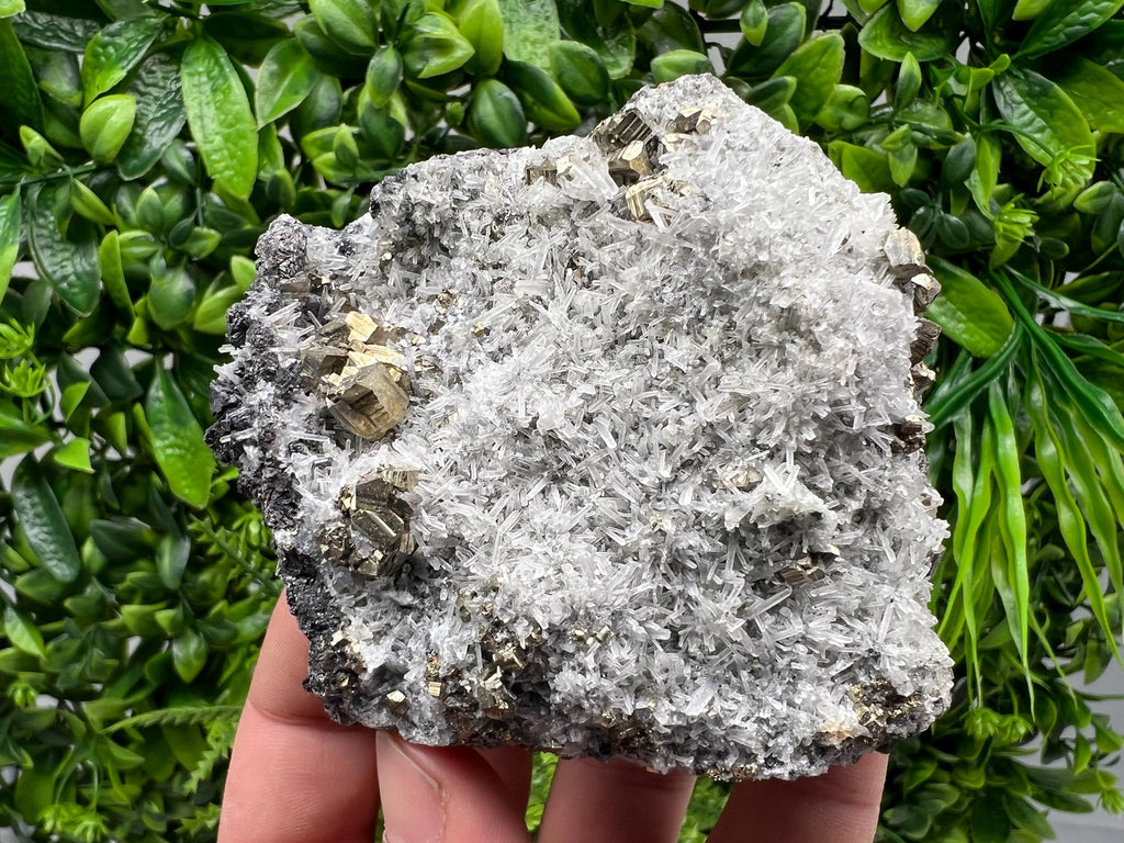Rainbow Pyrite on Quartz, Natural Mineral Specimen, Borieva Bulgaria
