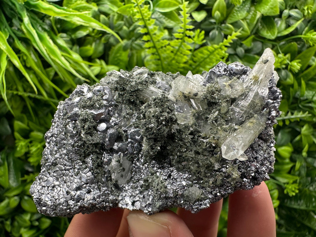 Galena with Quartz and Chlorite, Bulgaria Mineral Specimen