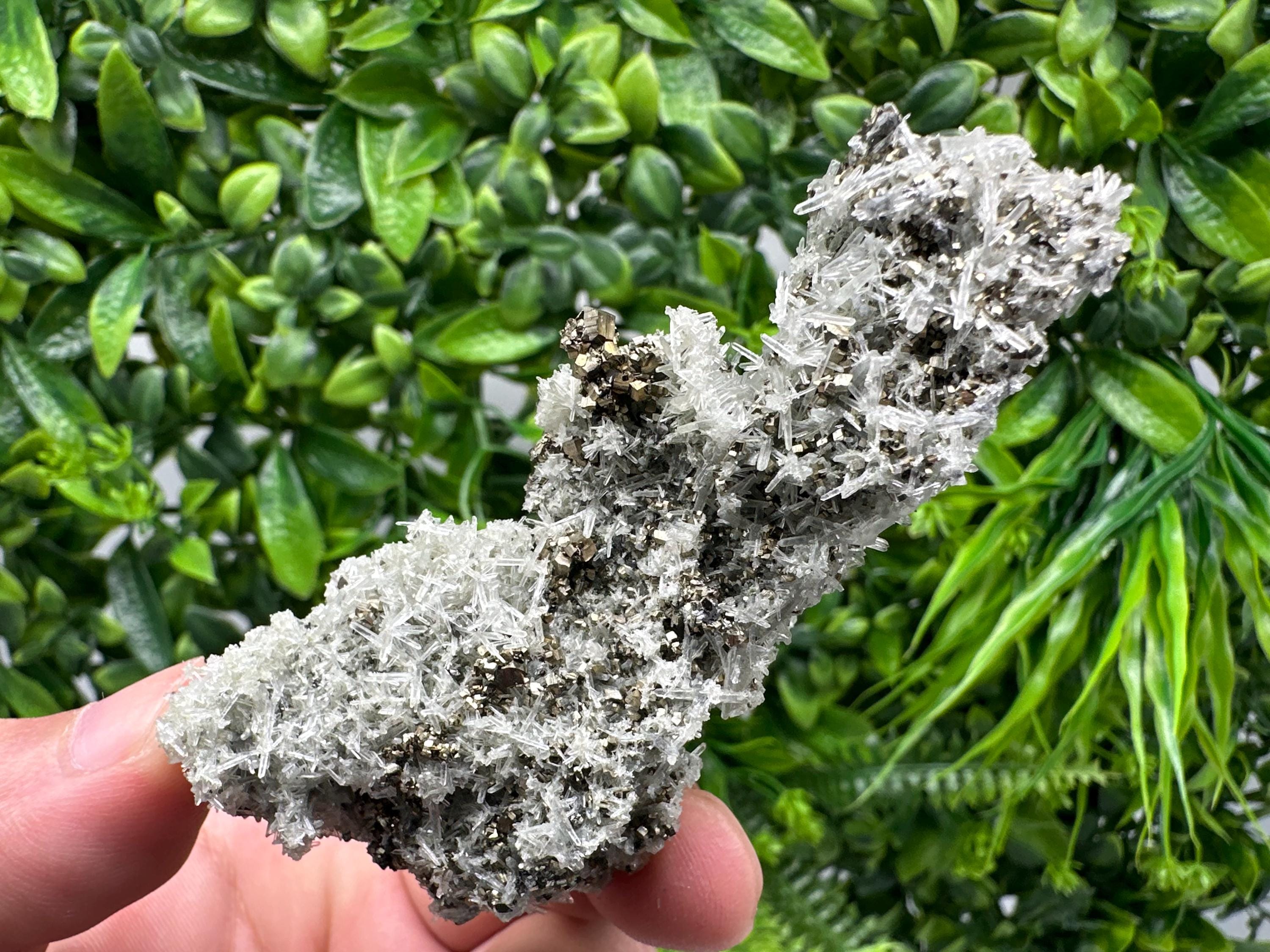 Pyrite on Needle Quartz, Madan Bulgaria, Collection Mineral Specimen