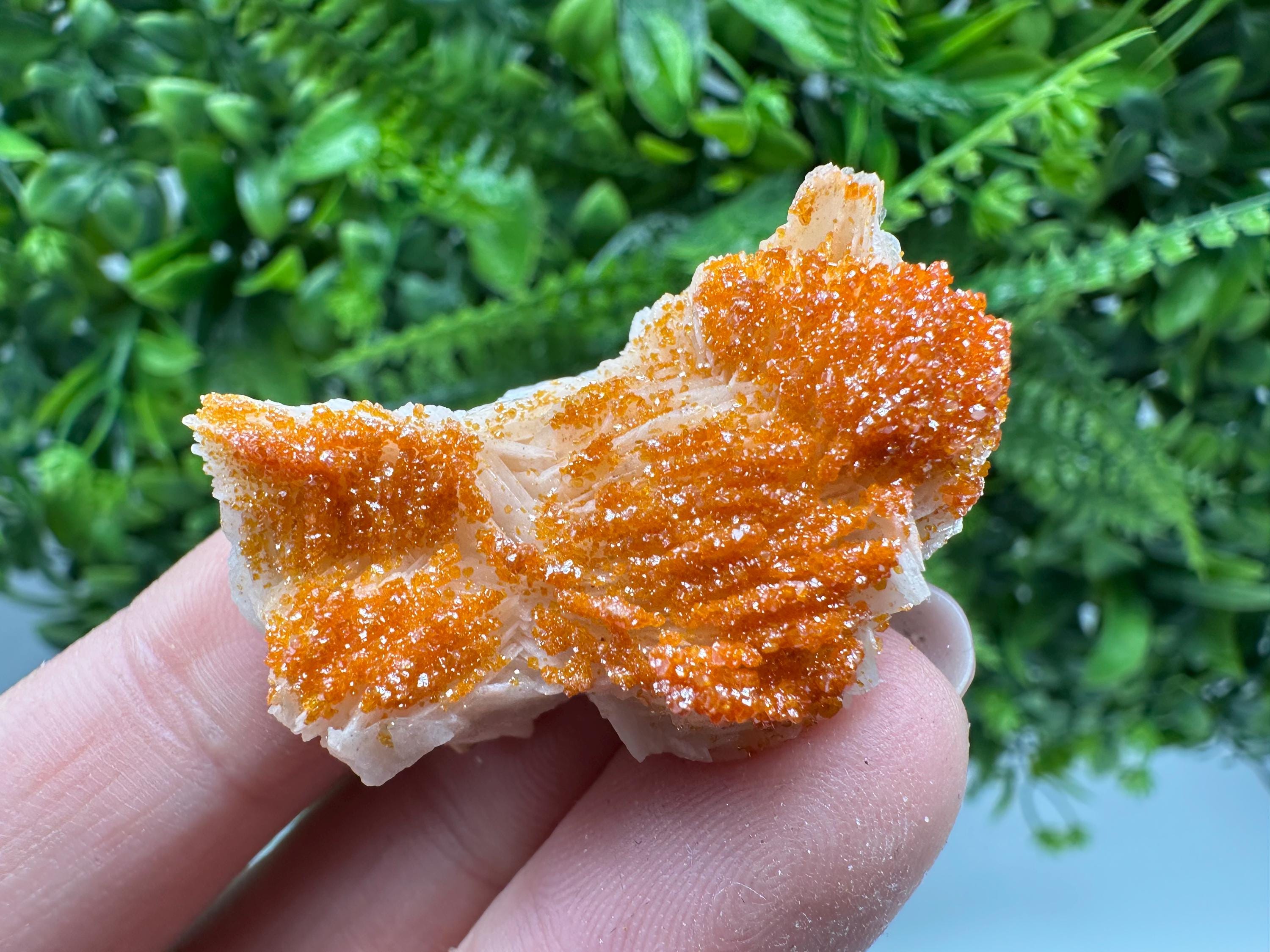 Red Vanadinite on Barite, Moroccan Crystal Specimen