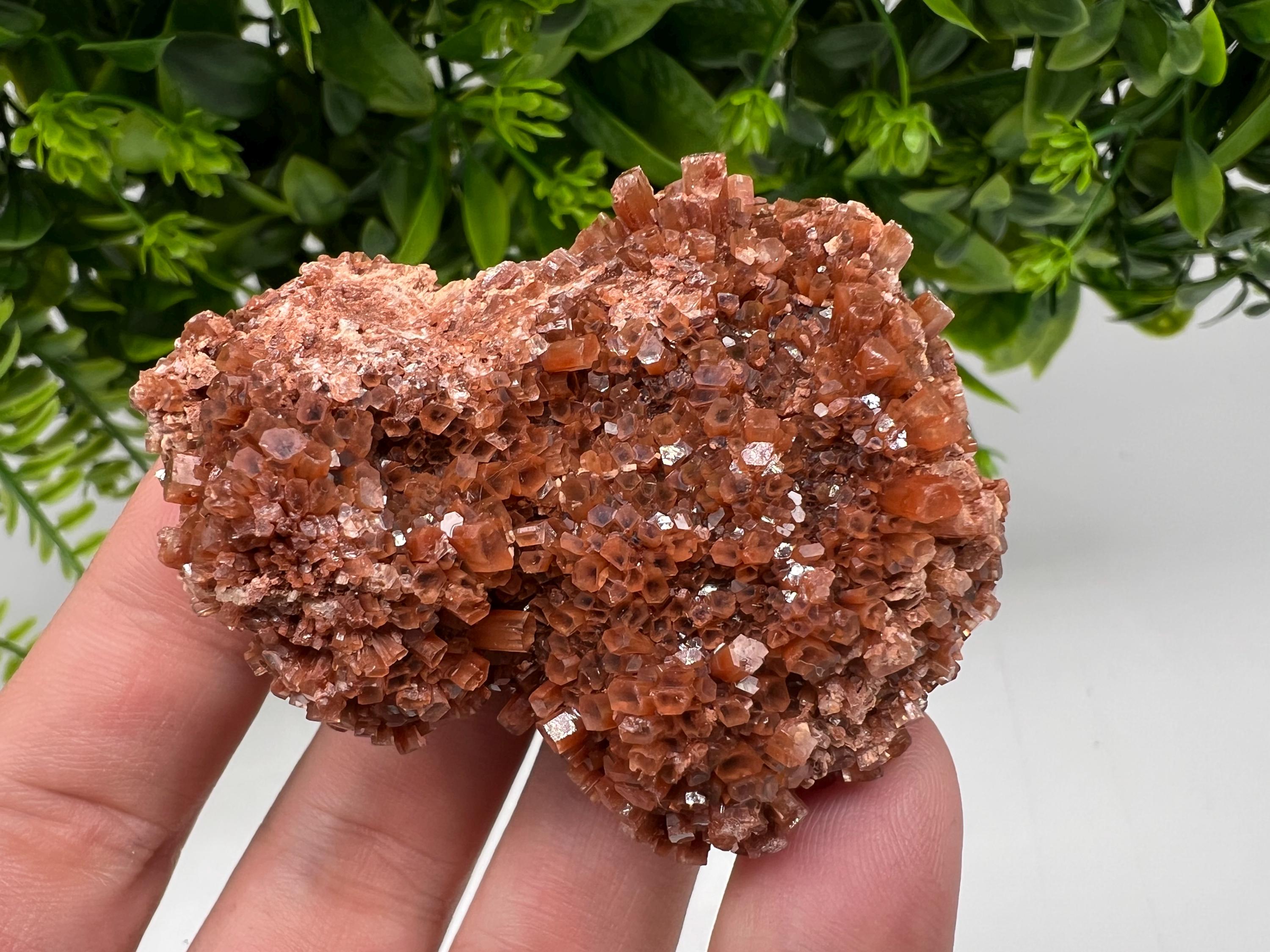Large Aragonite Sputnik Cluster: Raw Moroccan Crystal Stone, Home Decor