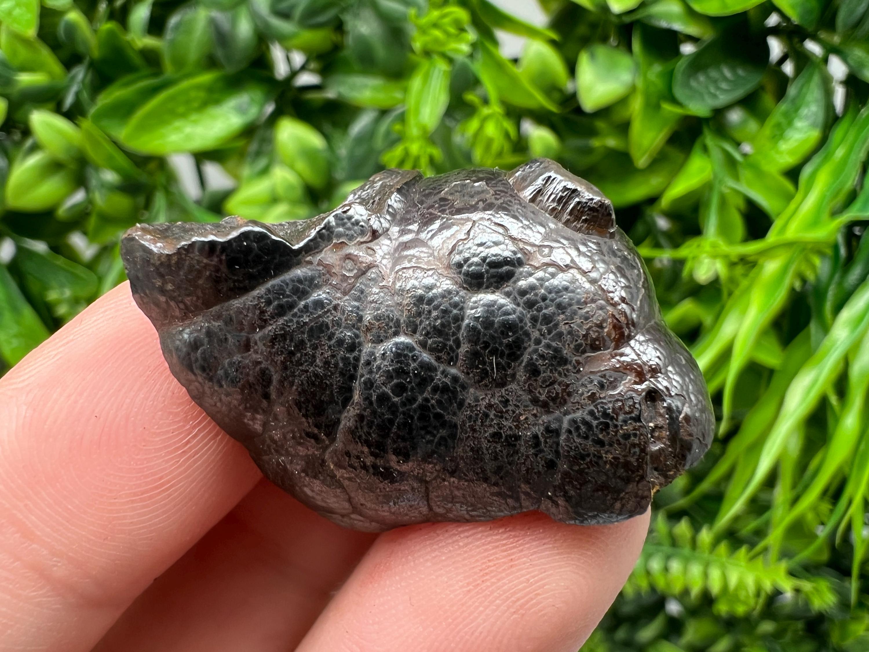 Botryoidal Black Hematite Specimen: Moroccan Crystal, Reiki Chakra Stone
