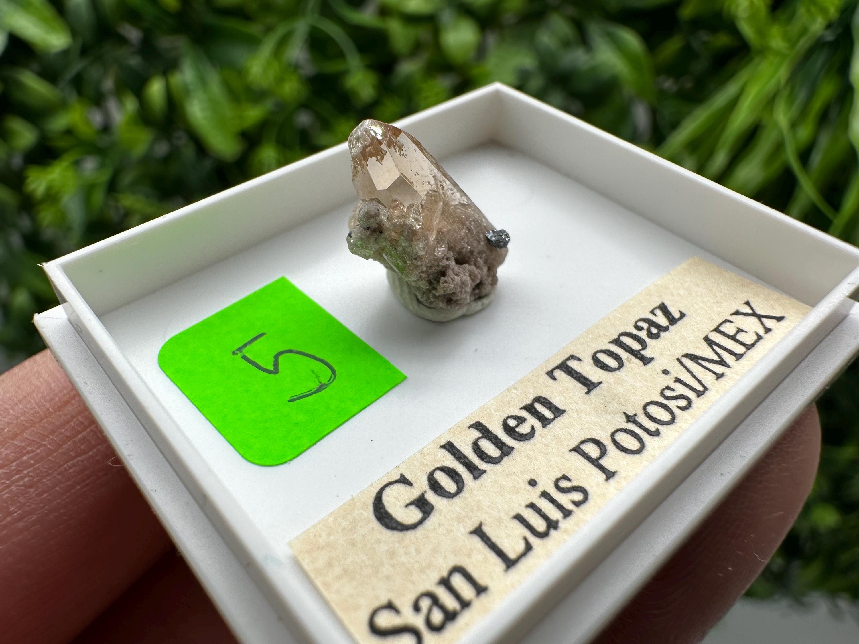 Golden Topaz Crystal, Mineral Specimen from Mexico