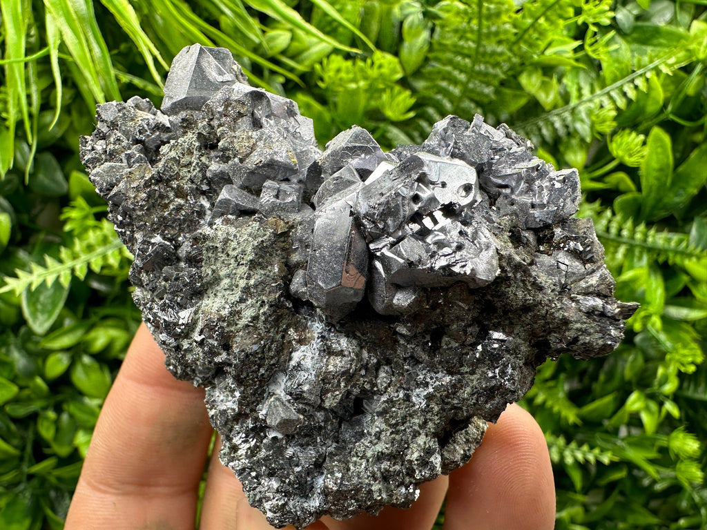 Galena Cluster on Matrix: Natural Mineral Specimen, Bulgaria