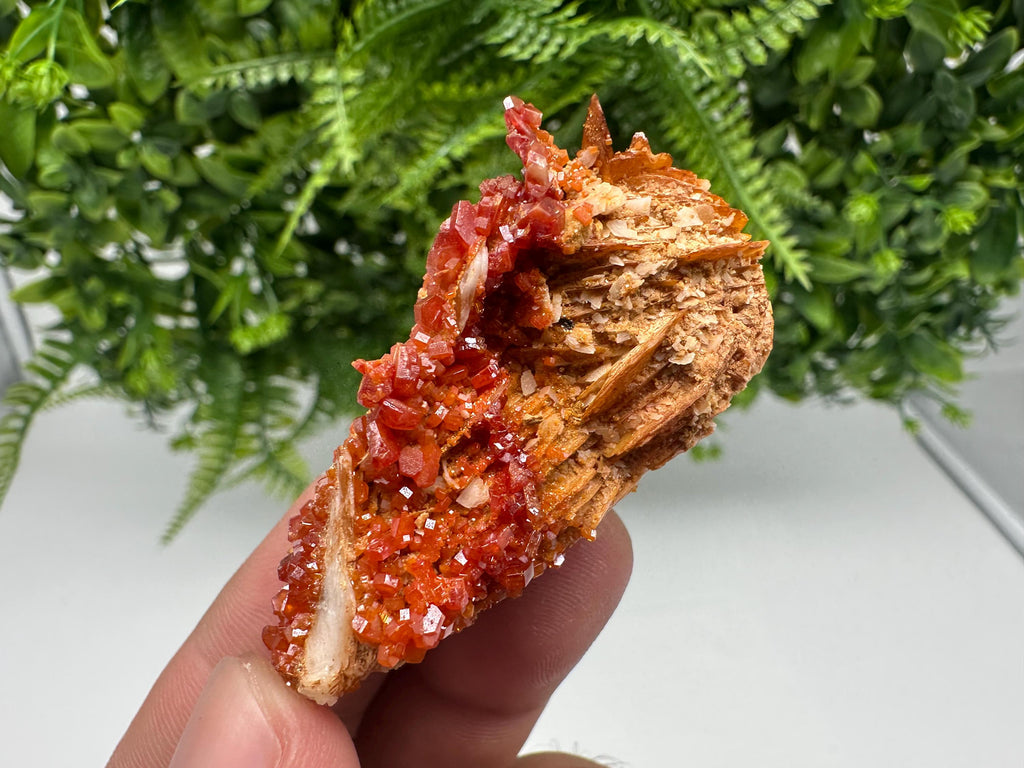 Red Vanadinite on Barite, Morocco Crystal Cluster