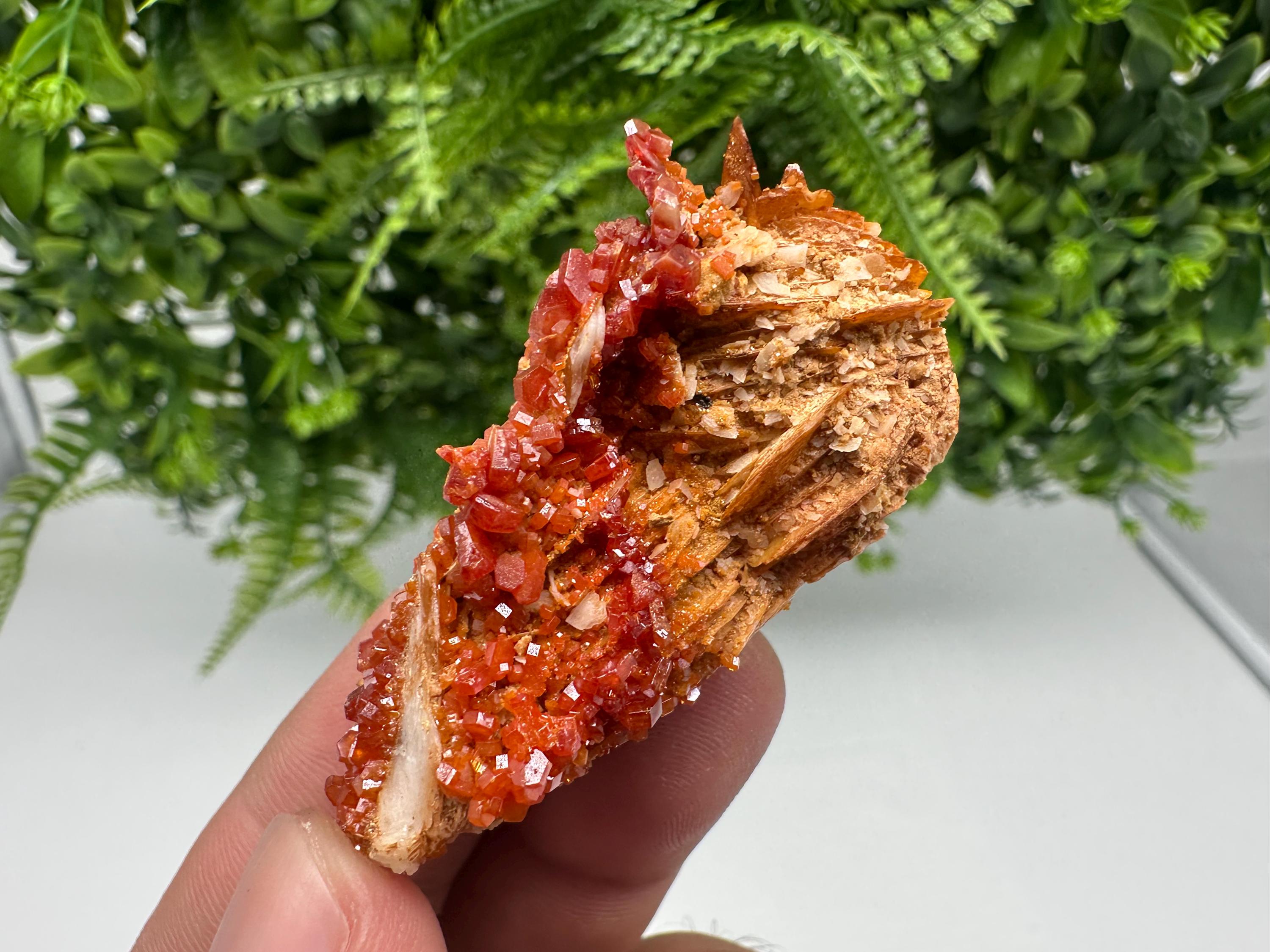 Red Vanadinite on Barite, Morocco Crystal Cluster