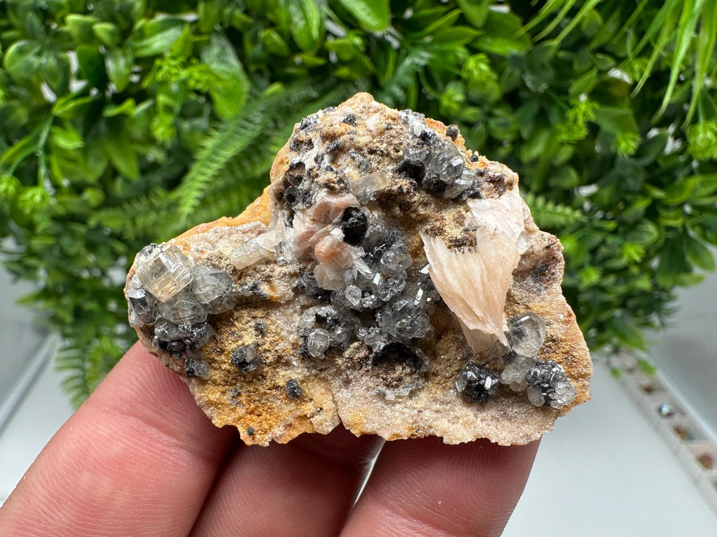 Wonderful Baryte with Cerussite on Galena from Morocco,Crystal, Mineral,Specimen,Cluster,Crystals,Barite Crystal,Cerussite Crystal,Specimen