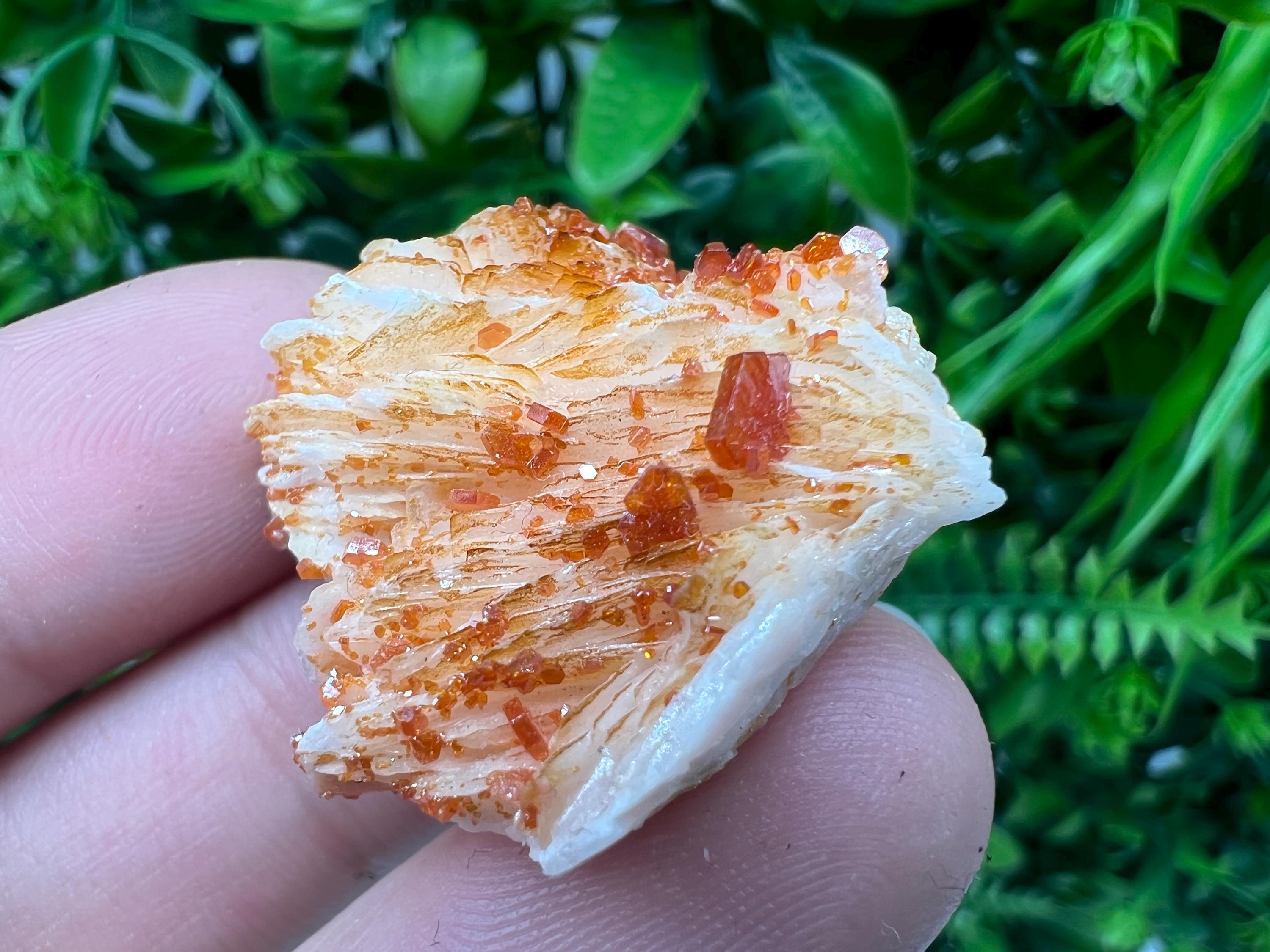 Red Vanadinite on Barite from Marocco,crystal minerals Speciment cluster Vanadinite crystal Vanadinite Geology Vanadinite cluster minerals
