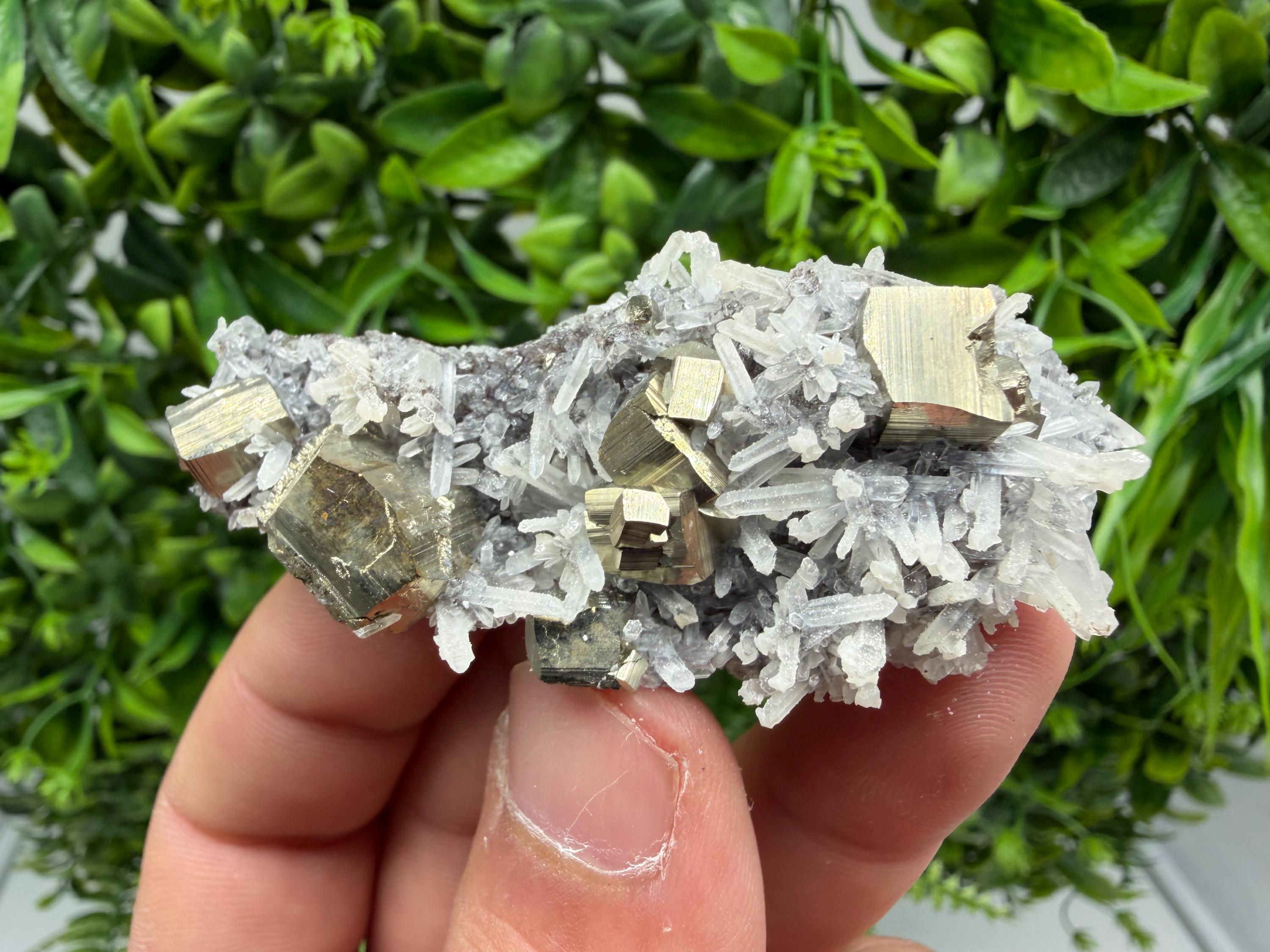 Pyrite Sphalerite Quartz  Mineral Specimen, Krushev dol Mine