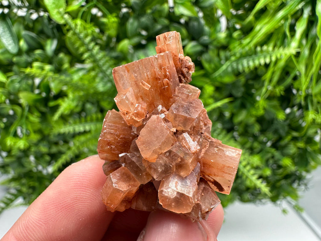 Moroccan Aragonite Sputnik Cluster: Raw Crystal Stone Decor