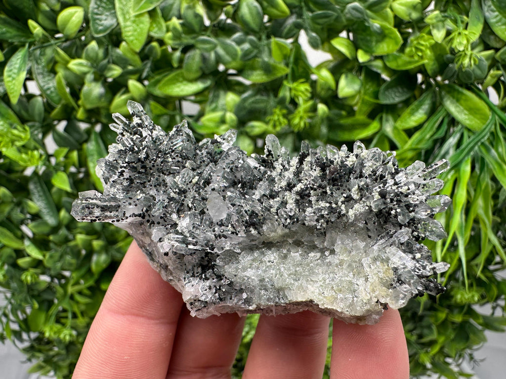 Chlorite Quartz Crystal Cluster - Borieva Mine, Bulgaria