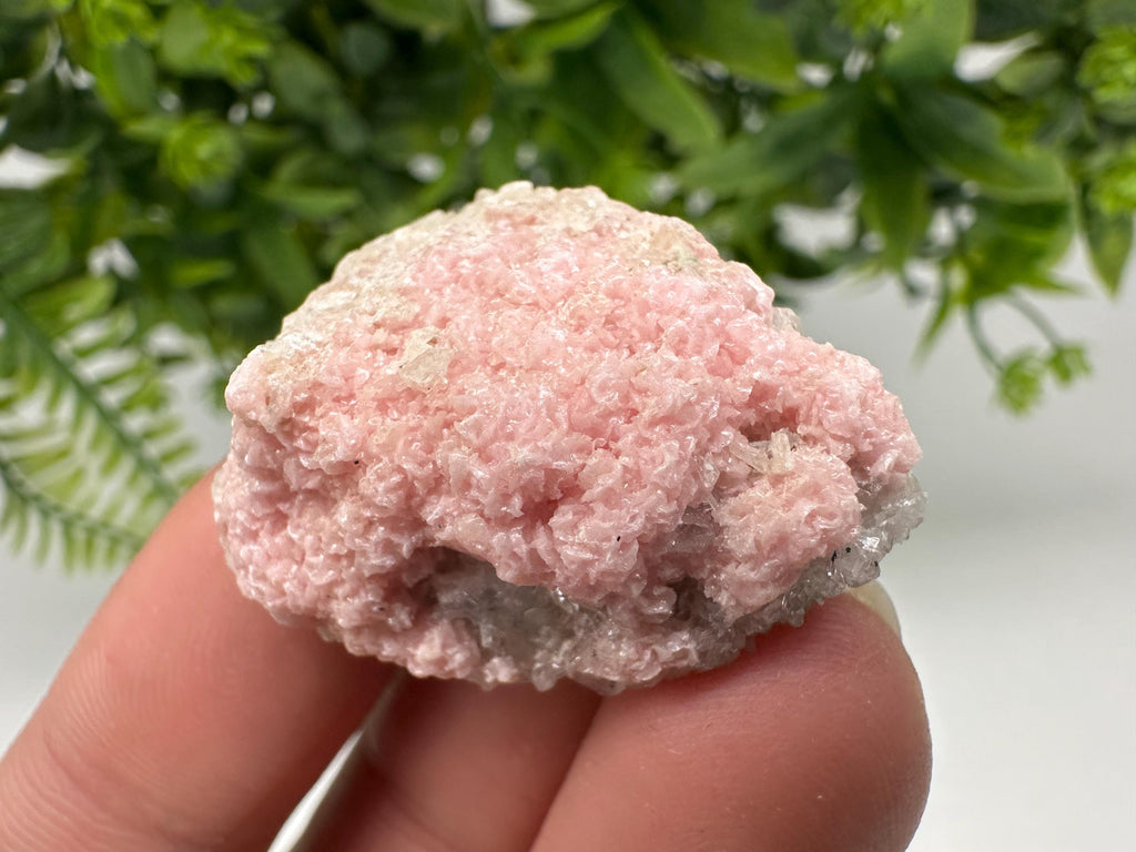 Pink Rhodochrosite Crystal: Starnica Mine, Bulgaria, Home Decor