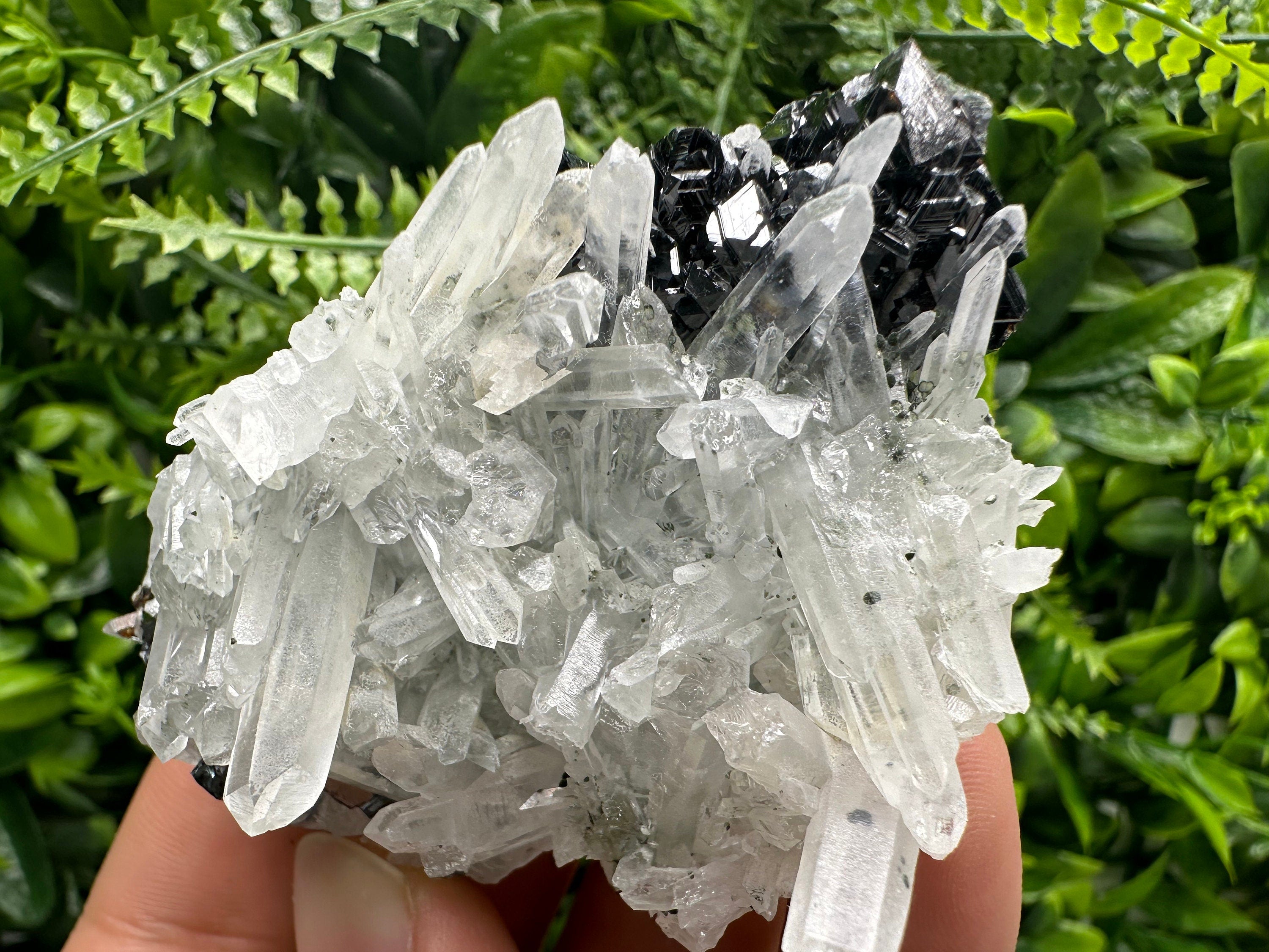 Quartz Cluster with Black Sphalerite, Krushev dol Bulgaria