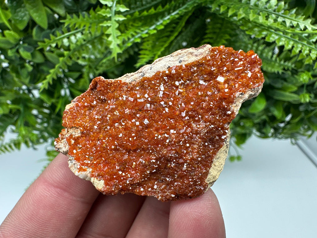 Red Vanadinite Crystal on Barite, Morocco Mineral Specimen