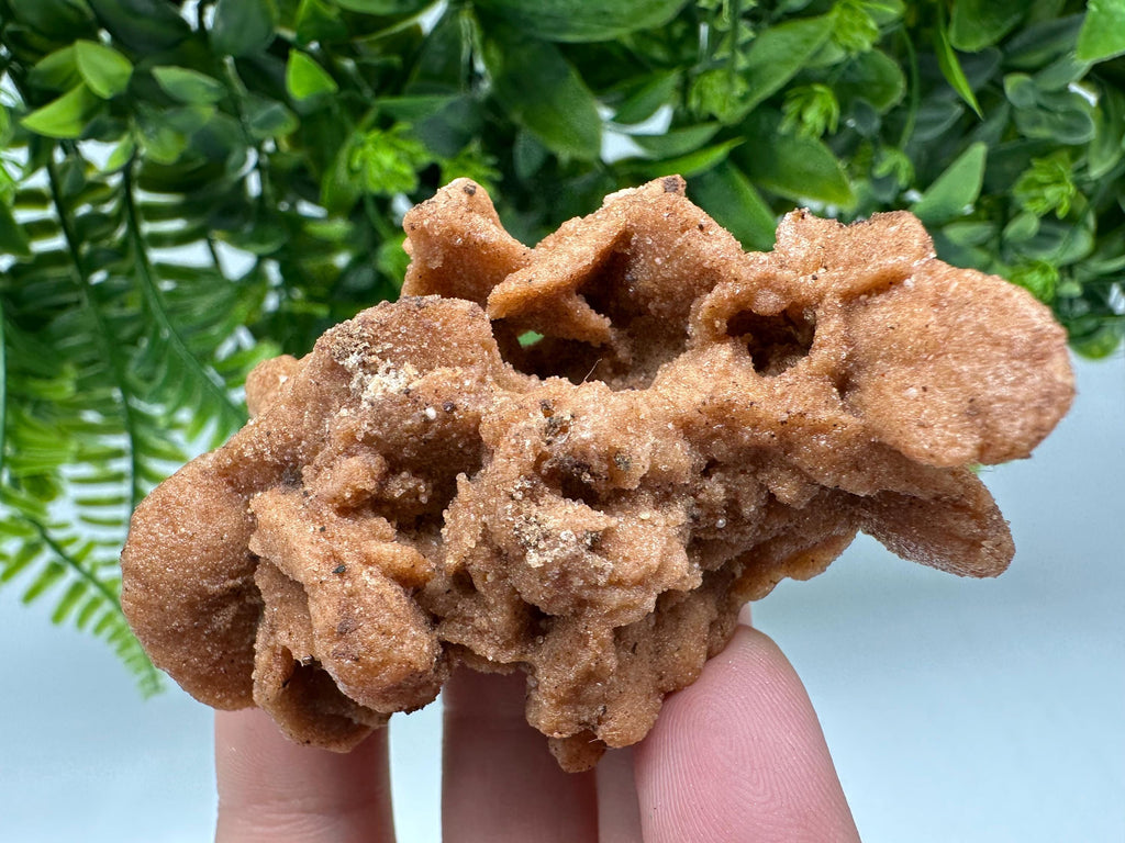 Natural Desert Rose Crystal - Root Chakra Healing Selenite Stone