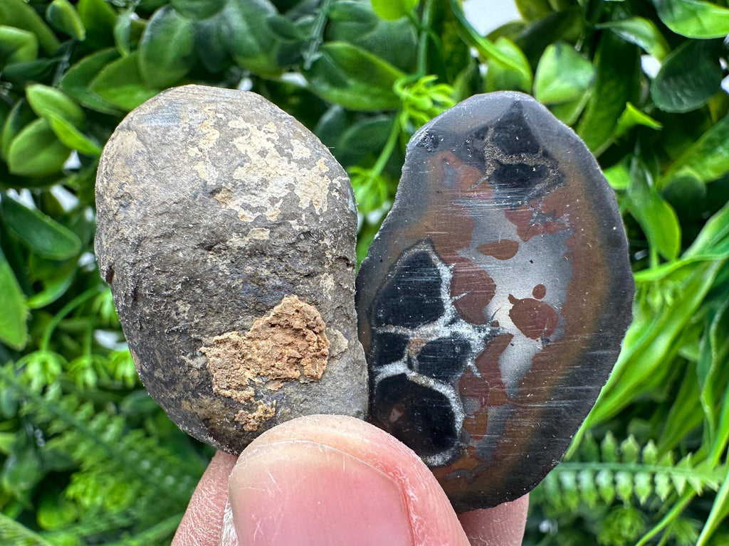 Septarian Nodule Geode Pair: Dragonstone Healing Stone