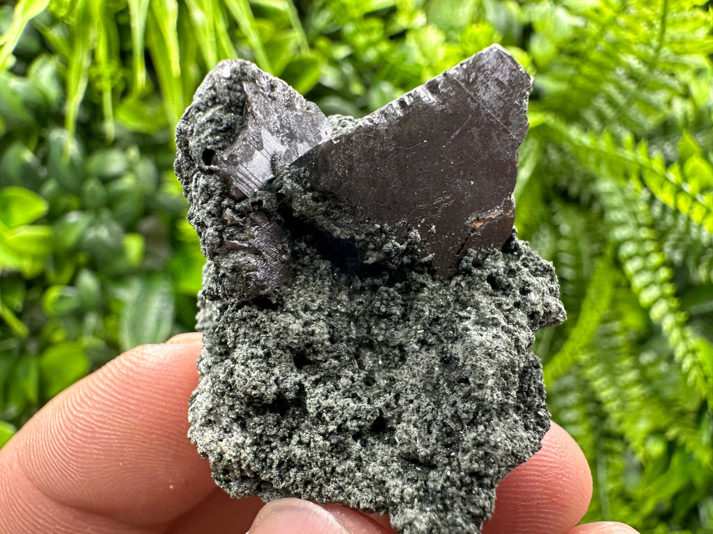 Sphalerite with Chlorite, Borieva Mine, Bulgaria – Natural Mineral Specimen