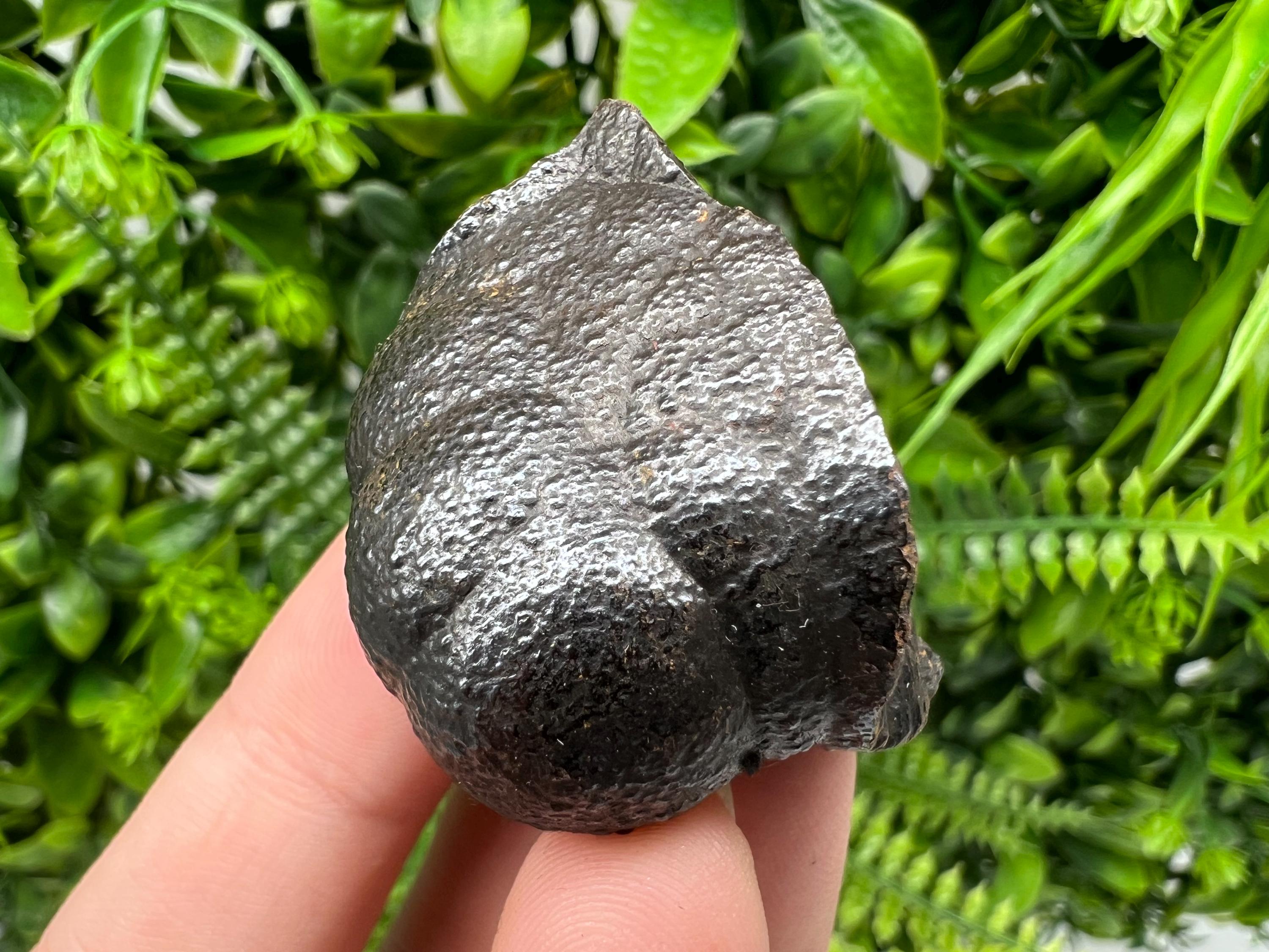 Botryoidal Black Hematite Specimen: Moroccan Crystal, Chakra Reiki