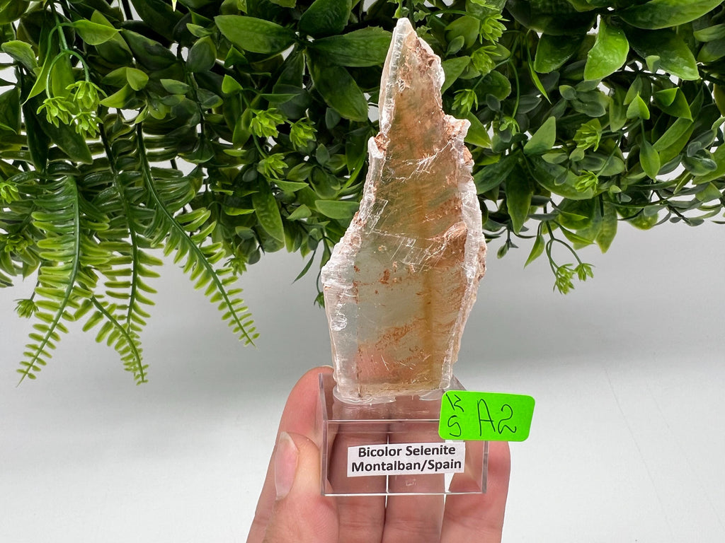 Golden Phantom Selenite Slab: Utah Raw Crystal Wand (4.5/9cm)